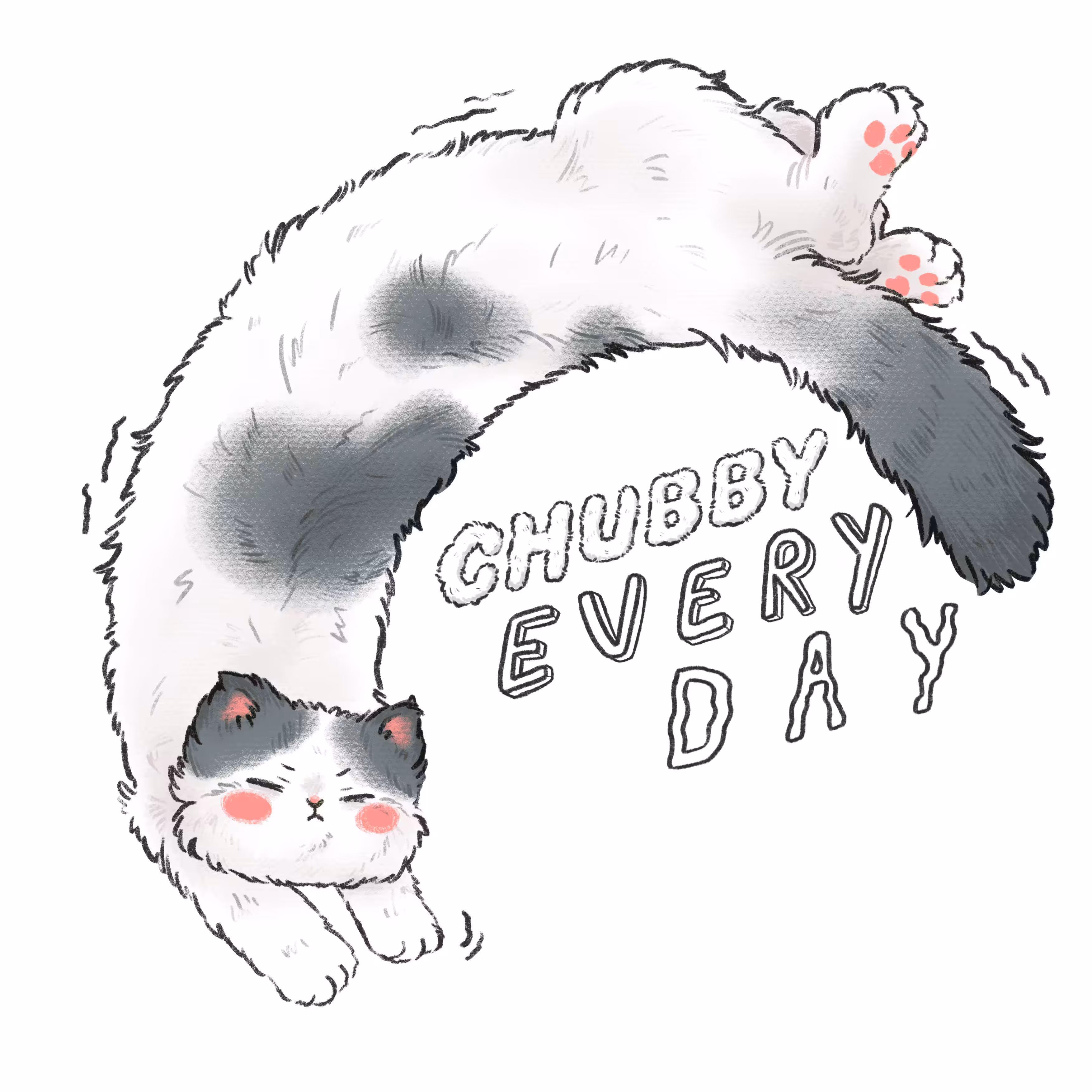 Lazy 'a little bit Gray' Chubby