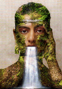 Surrounded by Nature #1