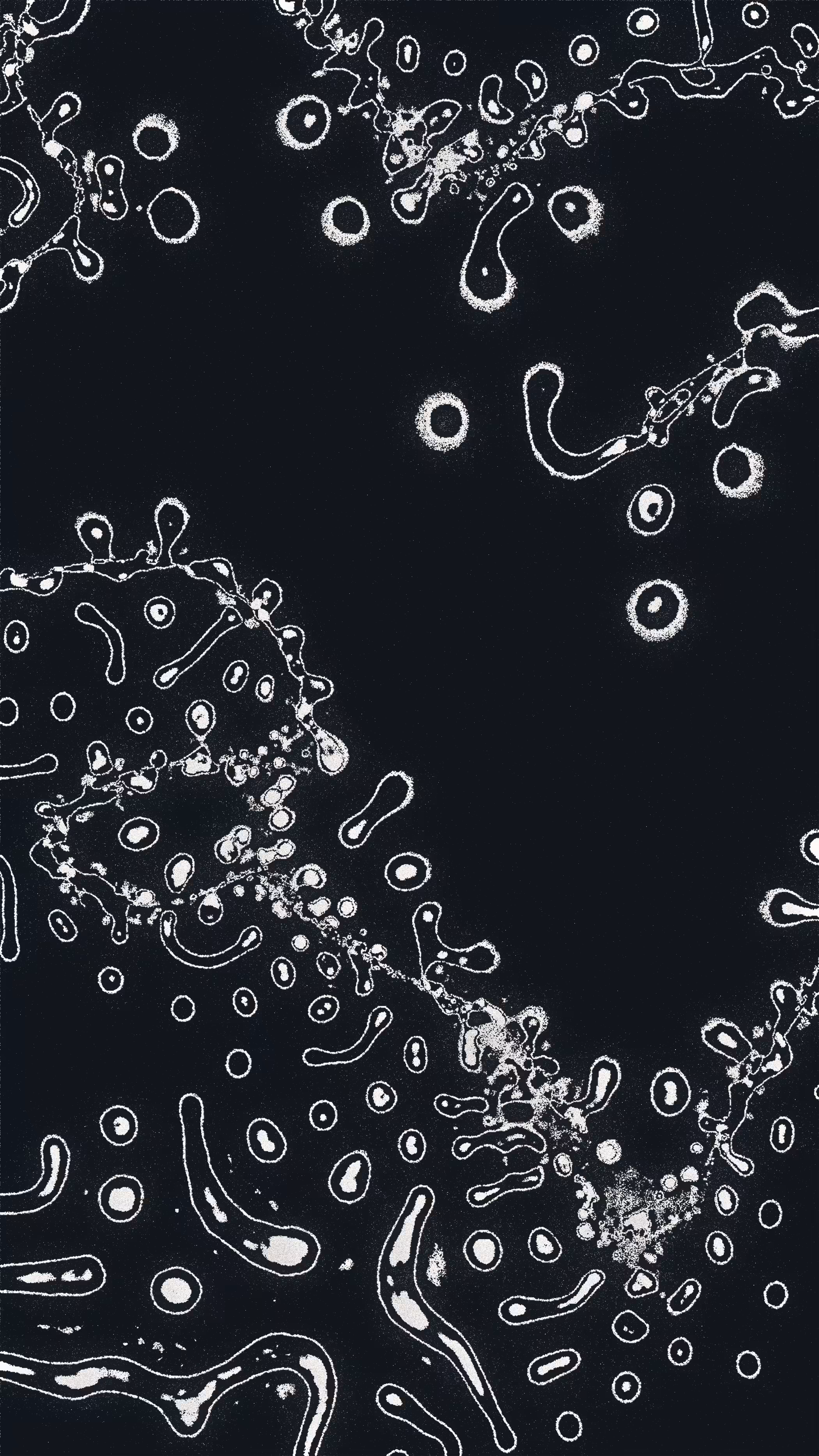 Water Studies #29