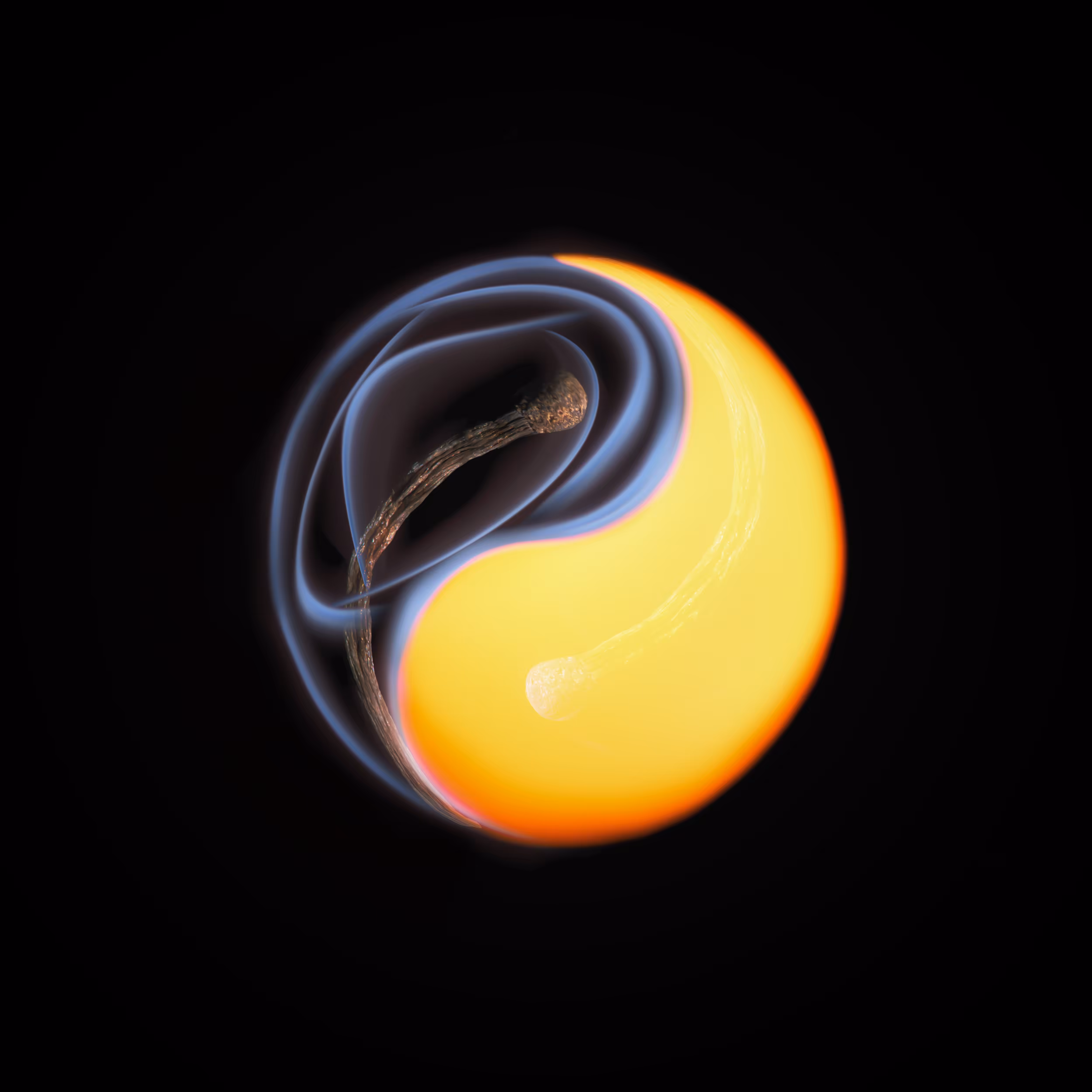 #16 - Tai Chi