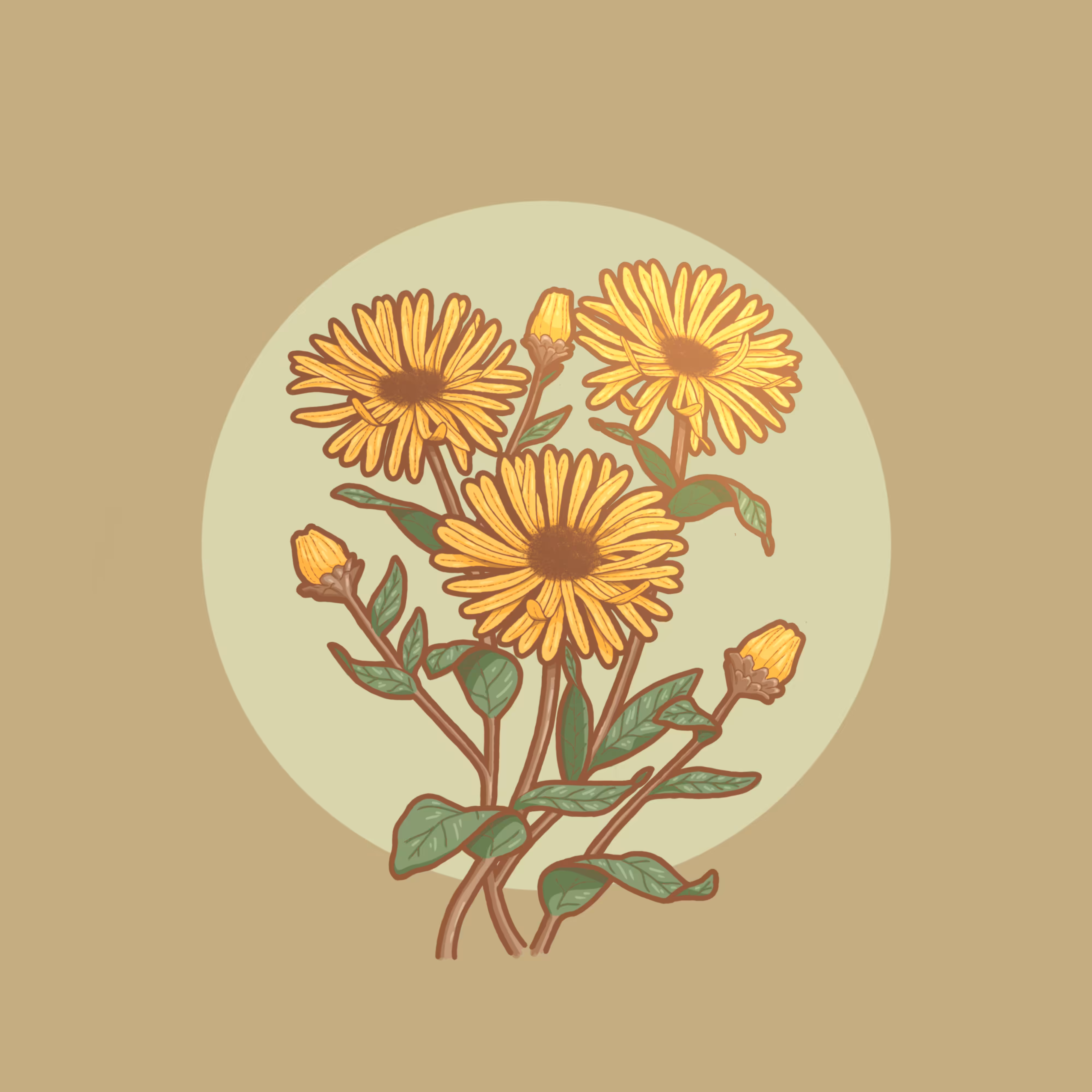 Daisy