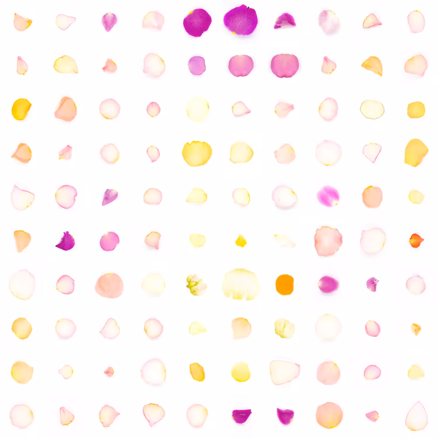 Infinite Petals 10x10#2095