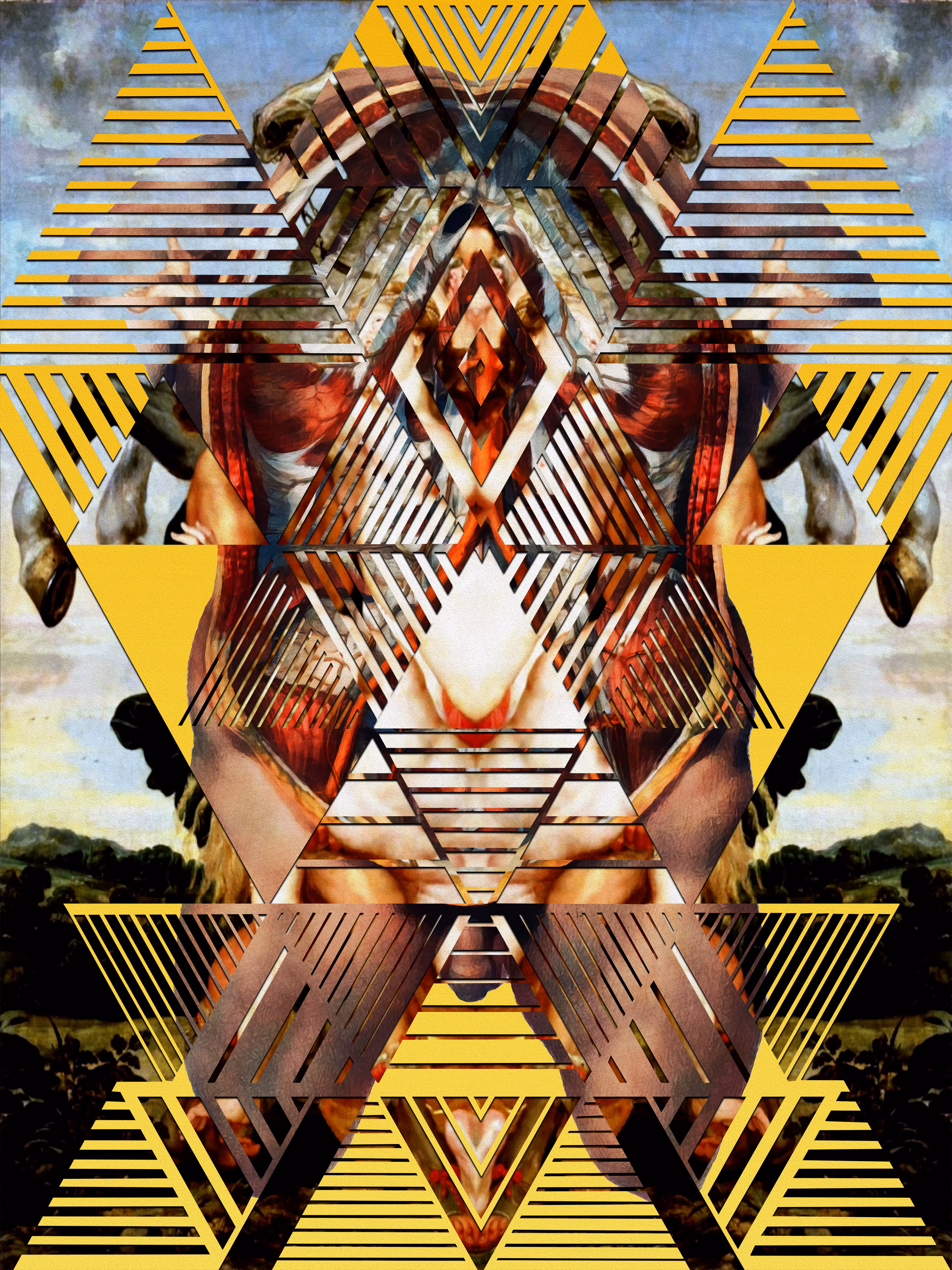 Anatomical Series