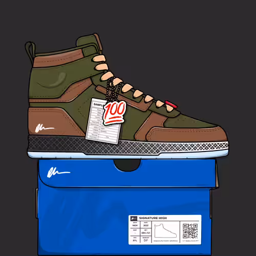 Signature Sneakers Highs #481