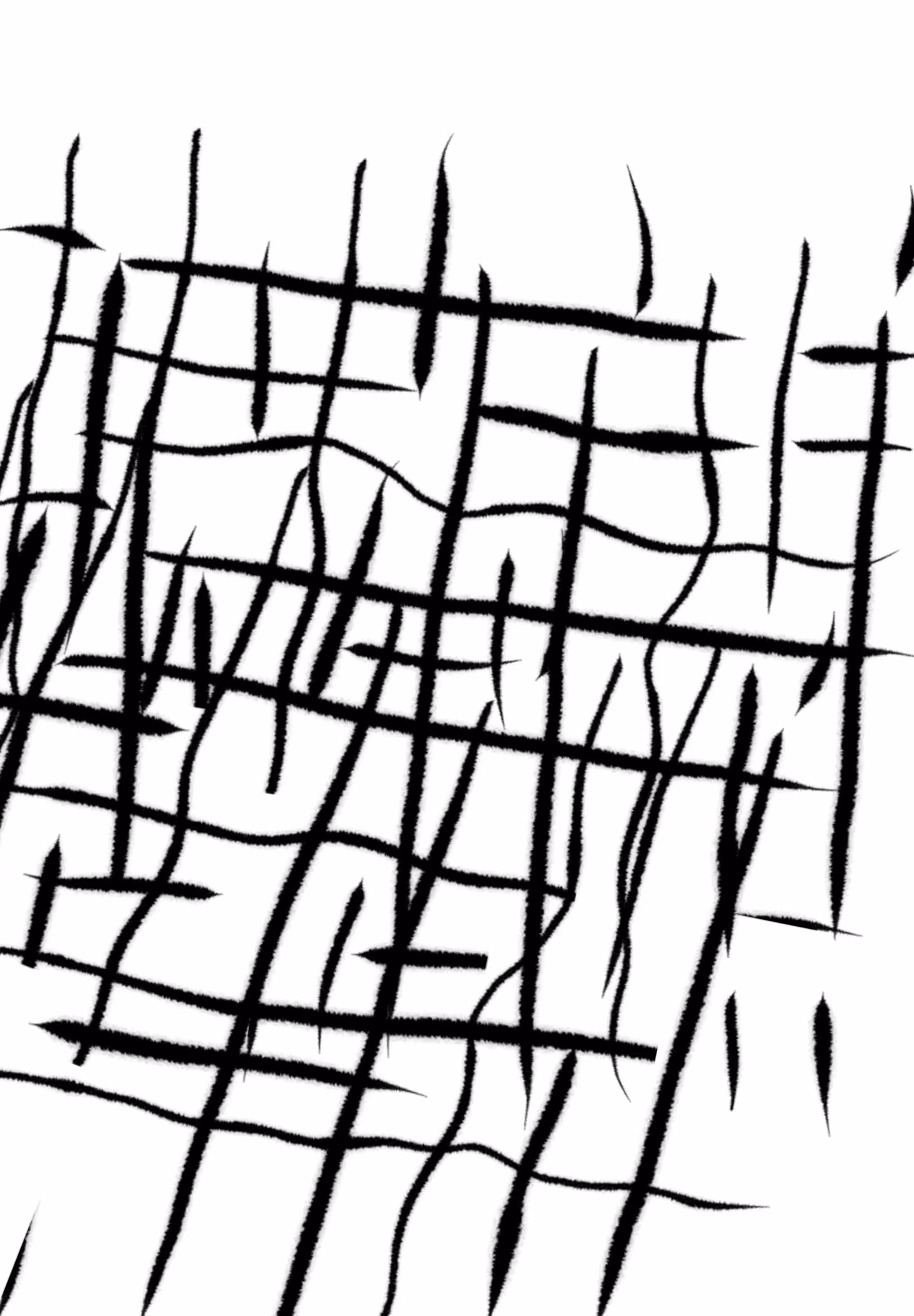 black and white collection: abstract black and white #005