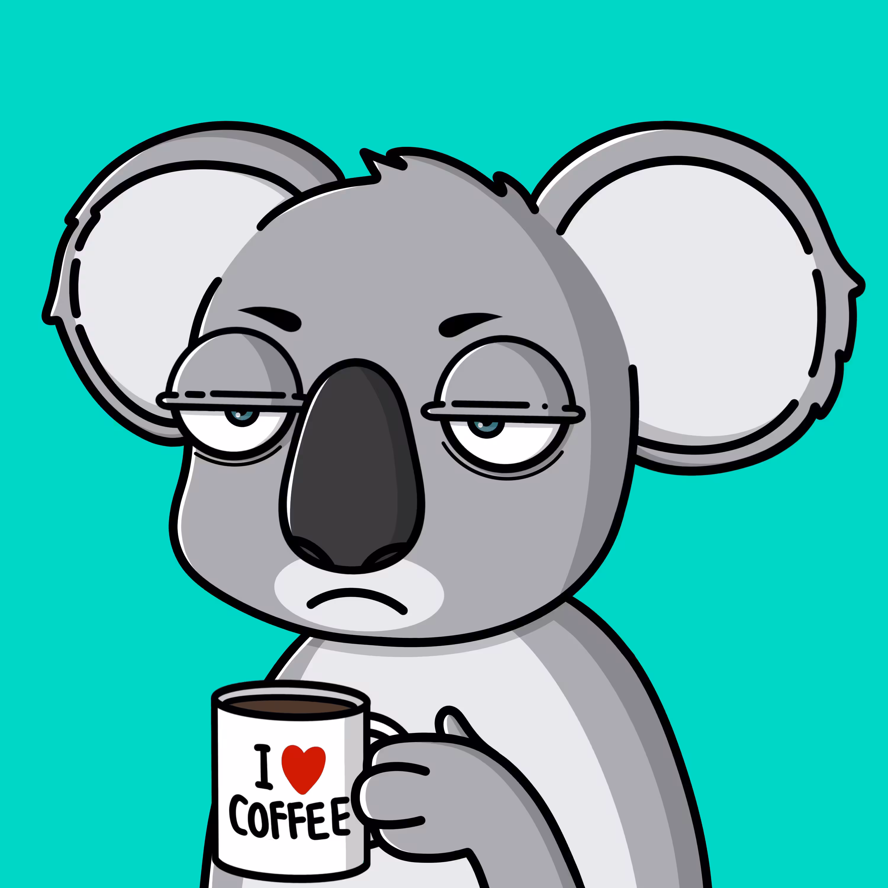 Koala #1