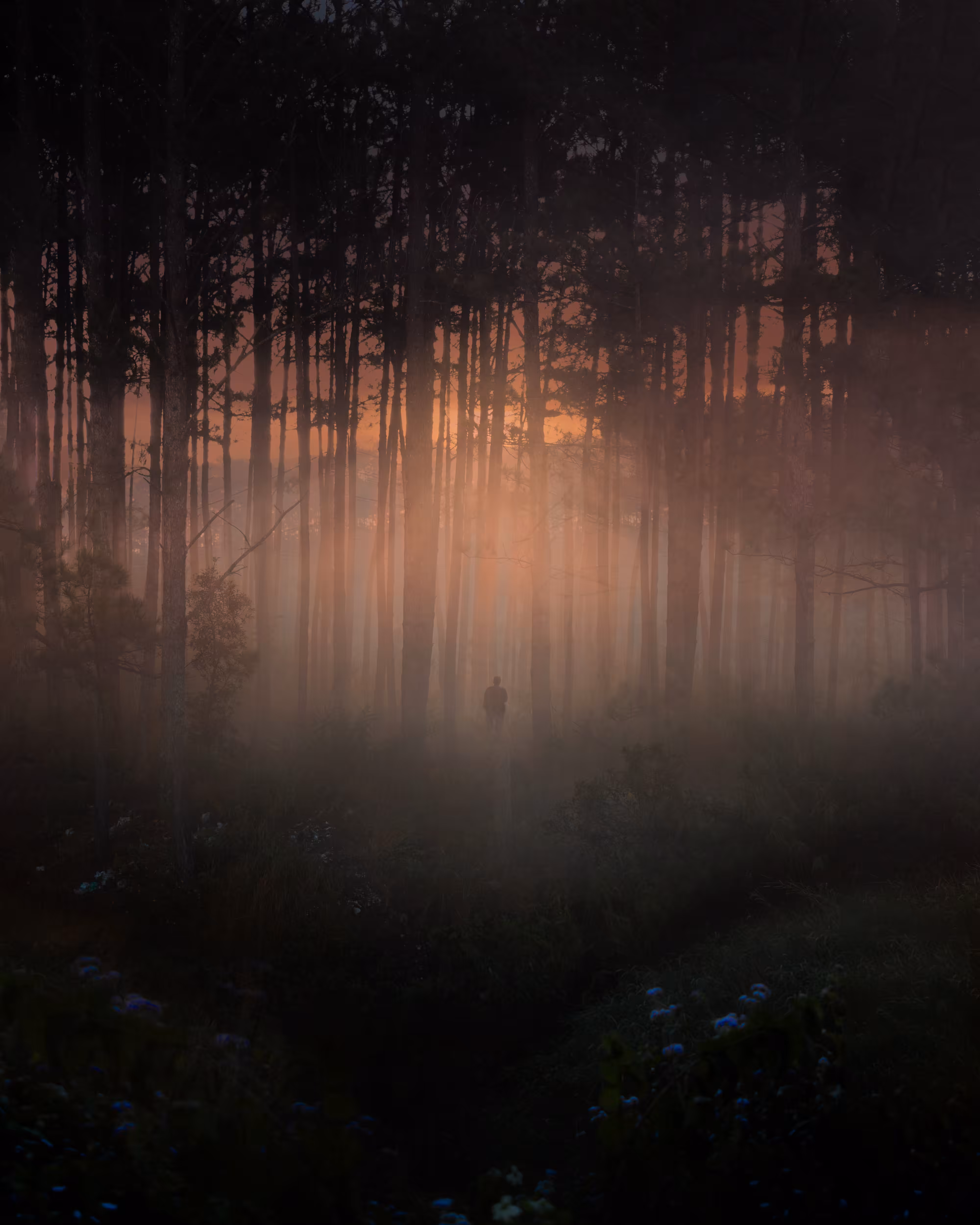Eventide