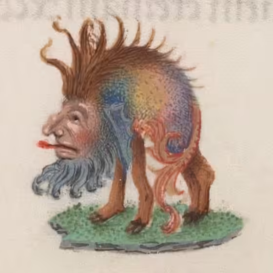 Oddities
