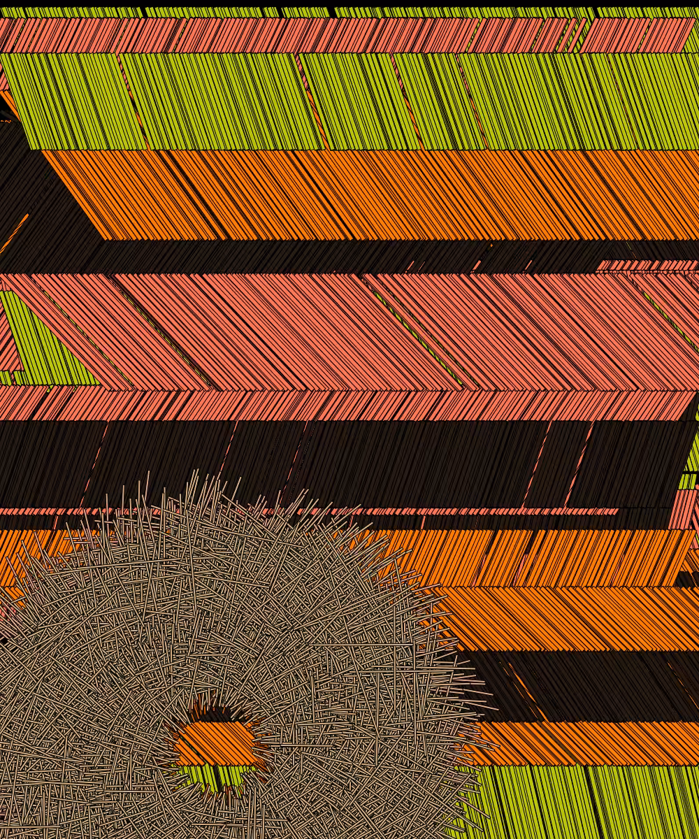 Shavings #143