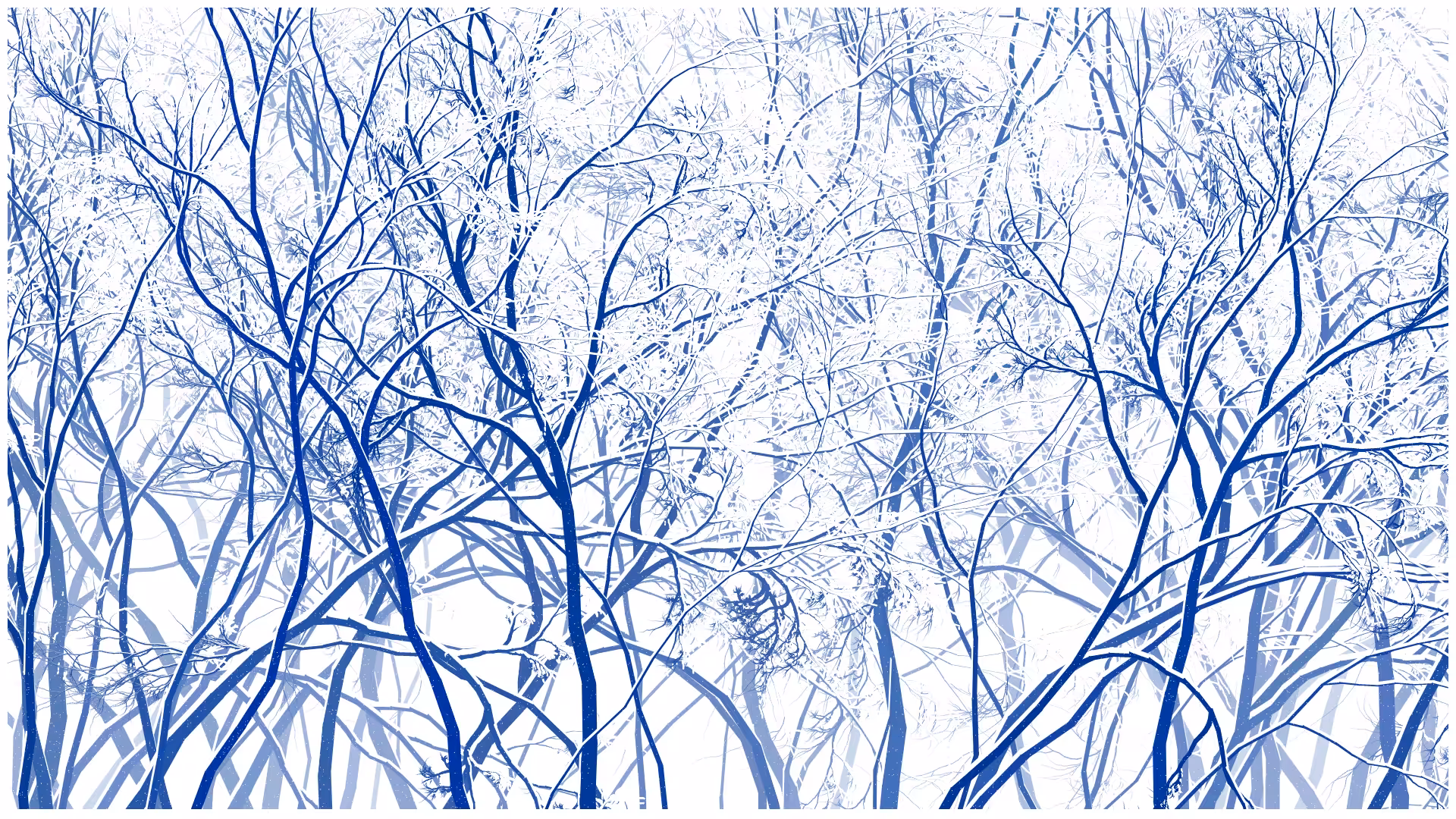 SCHNEEWALD #184