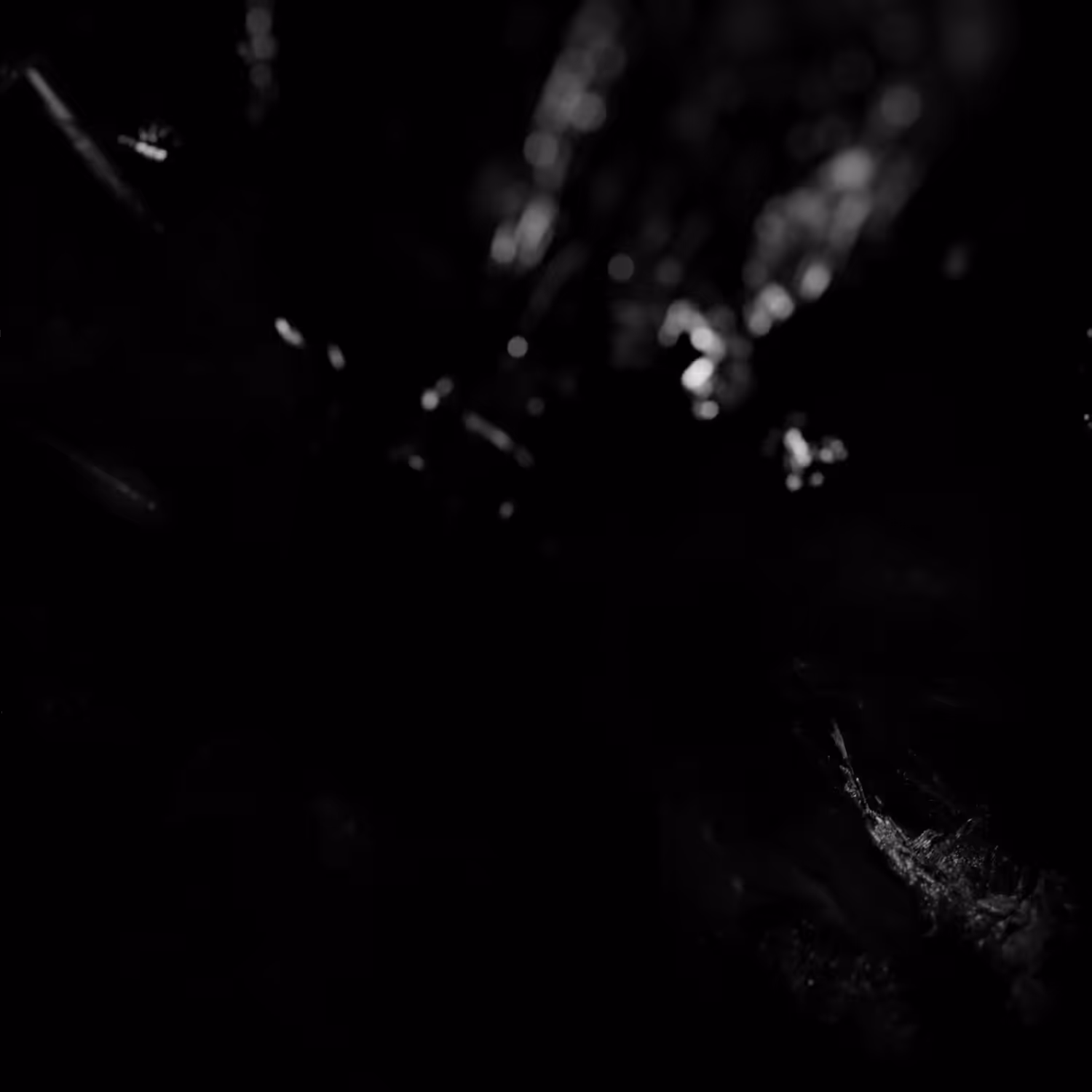 Matrix