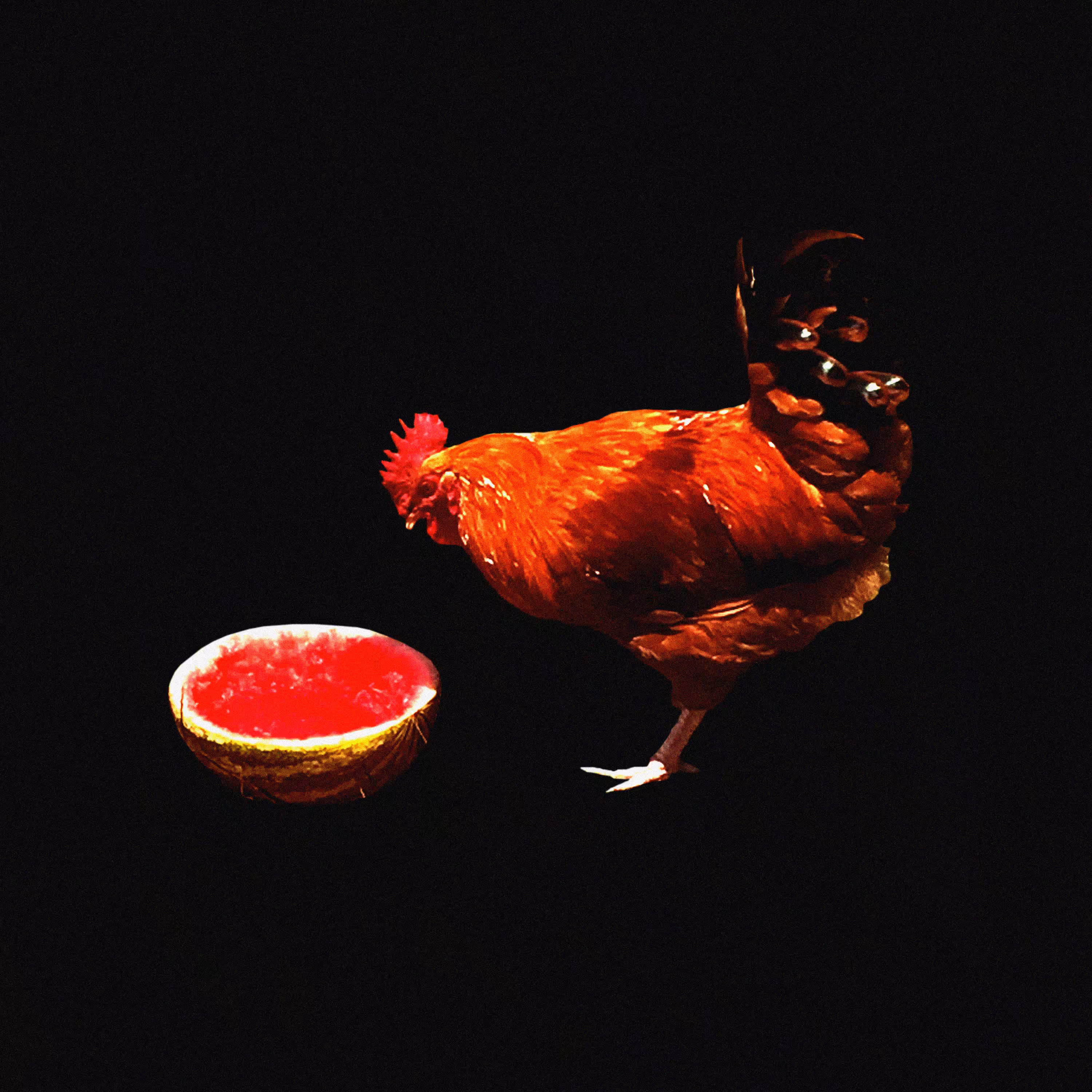 Chicken Melon