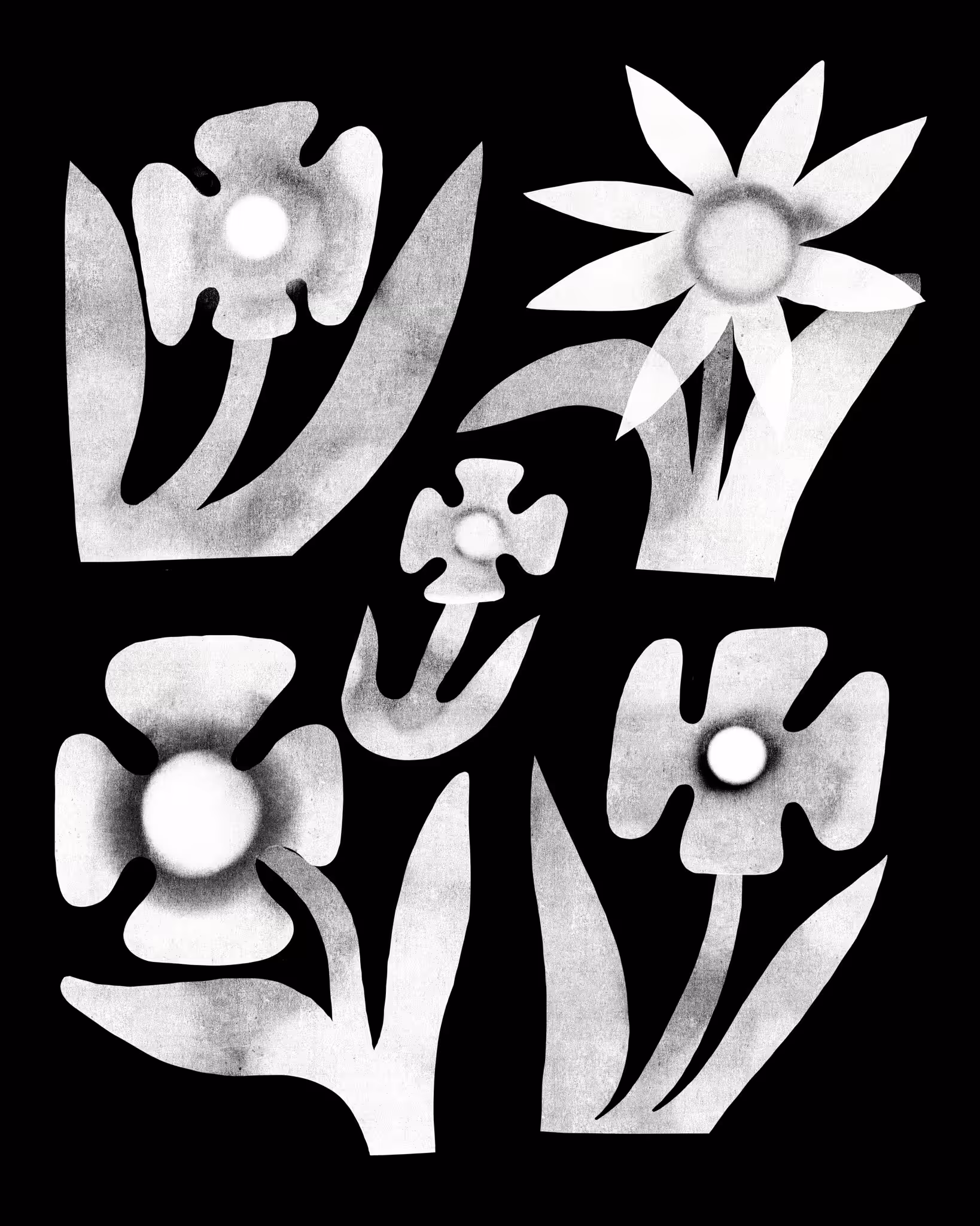 Flowers 002