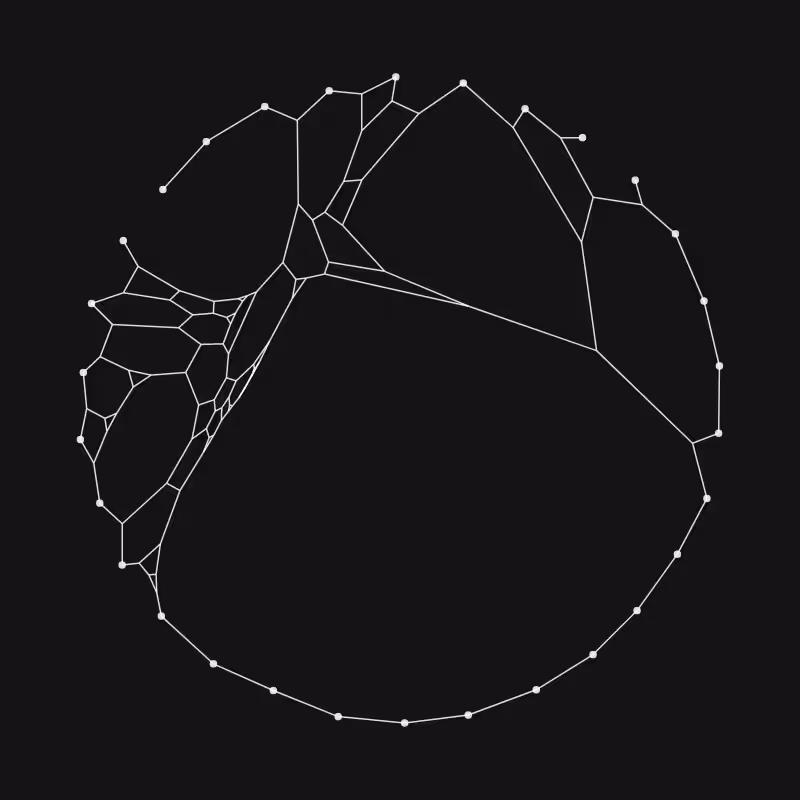 Elastic Web #319