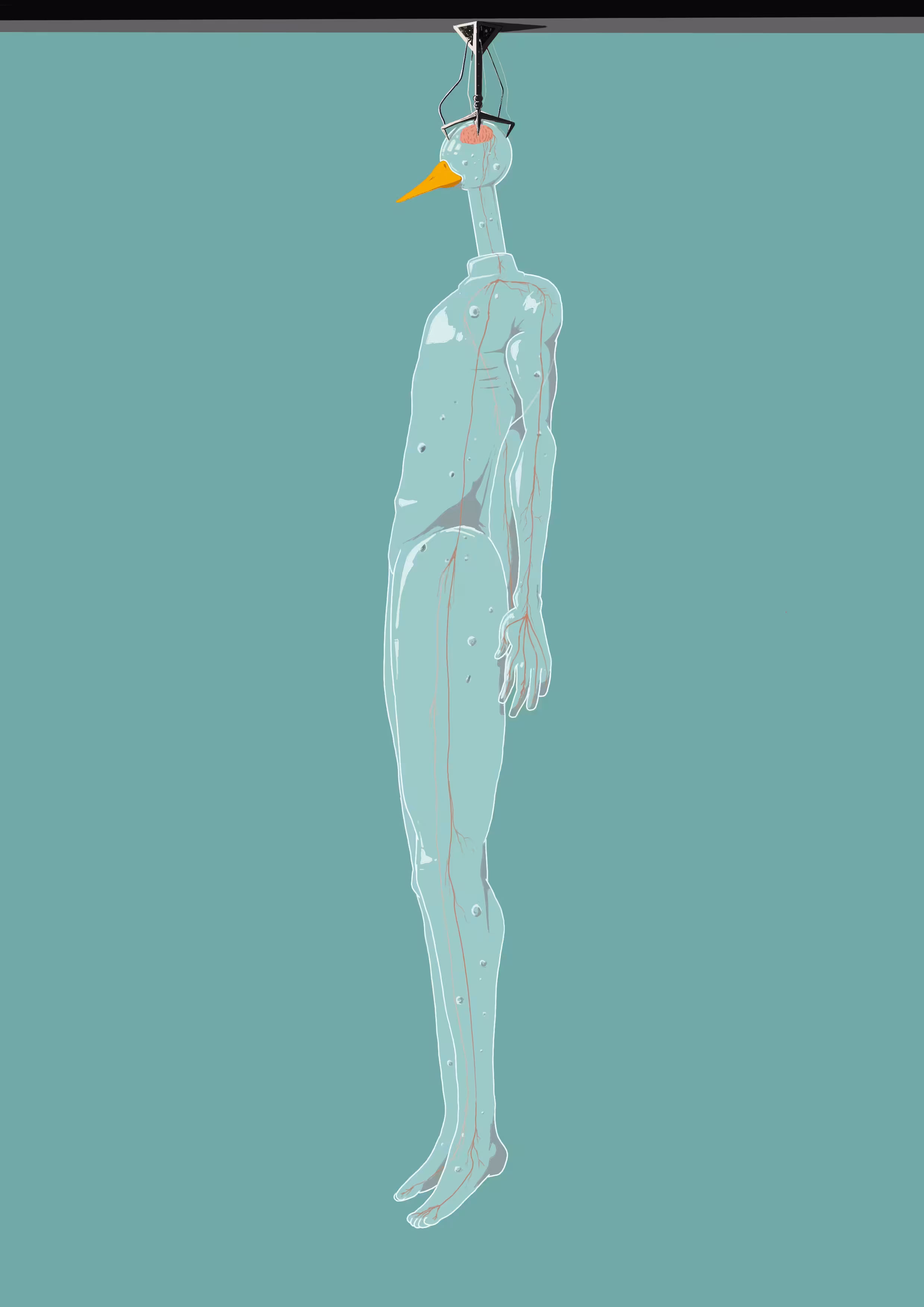 invisible duck #14