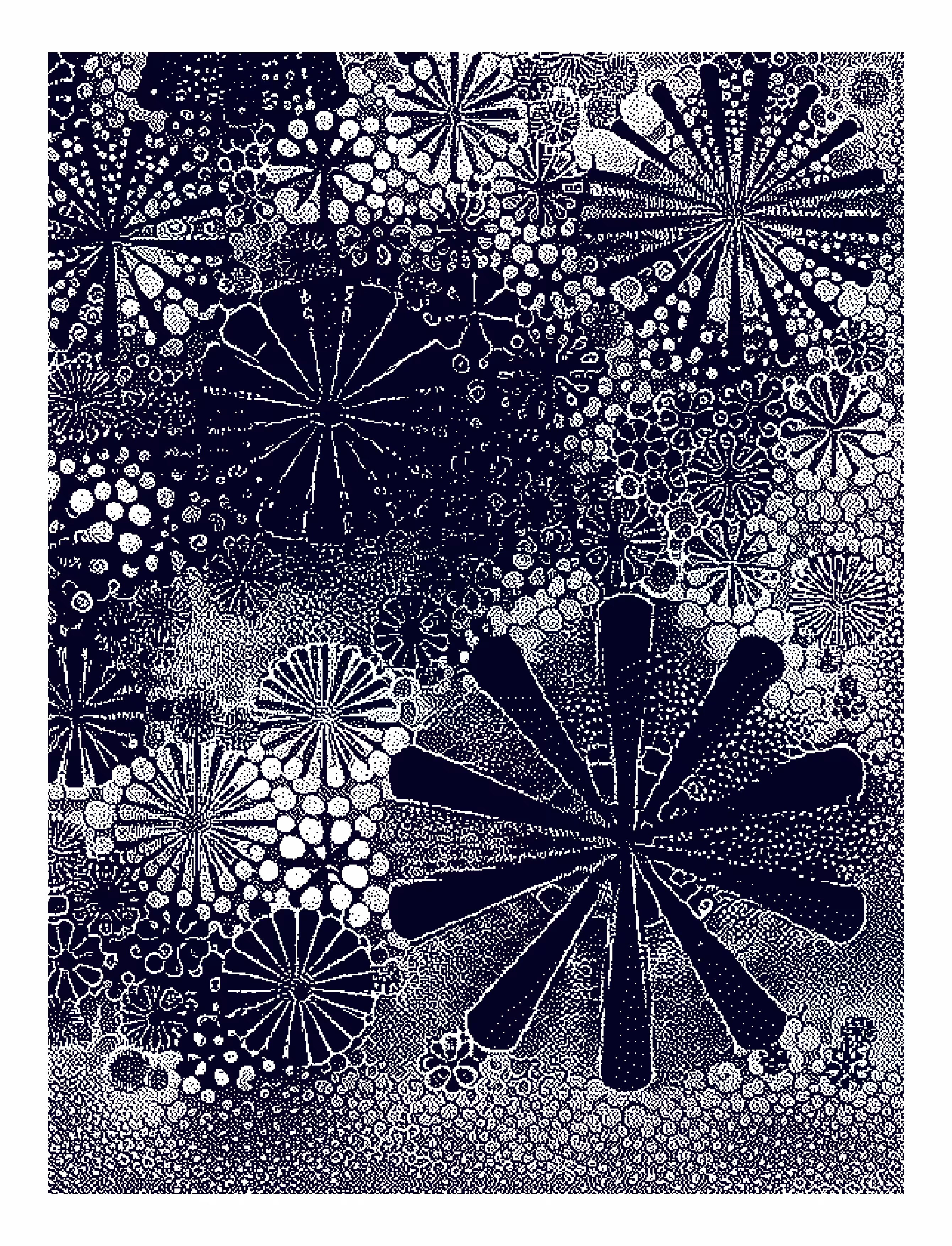 Haeckel_II
