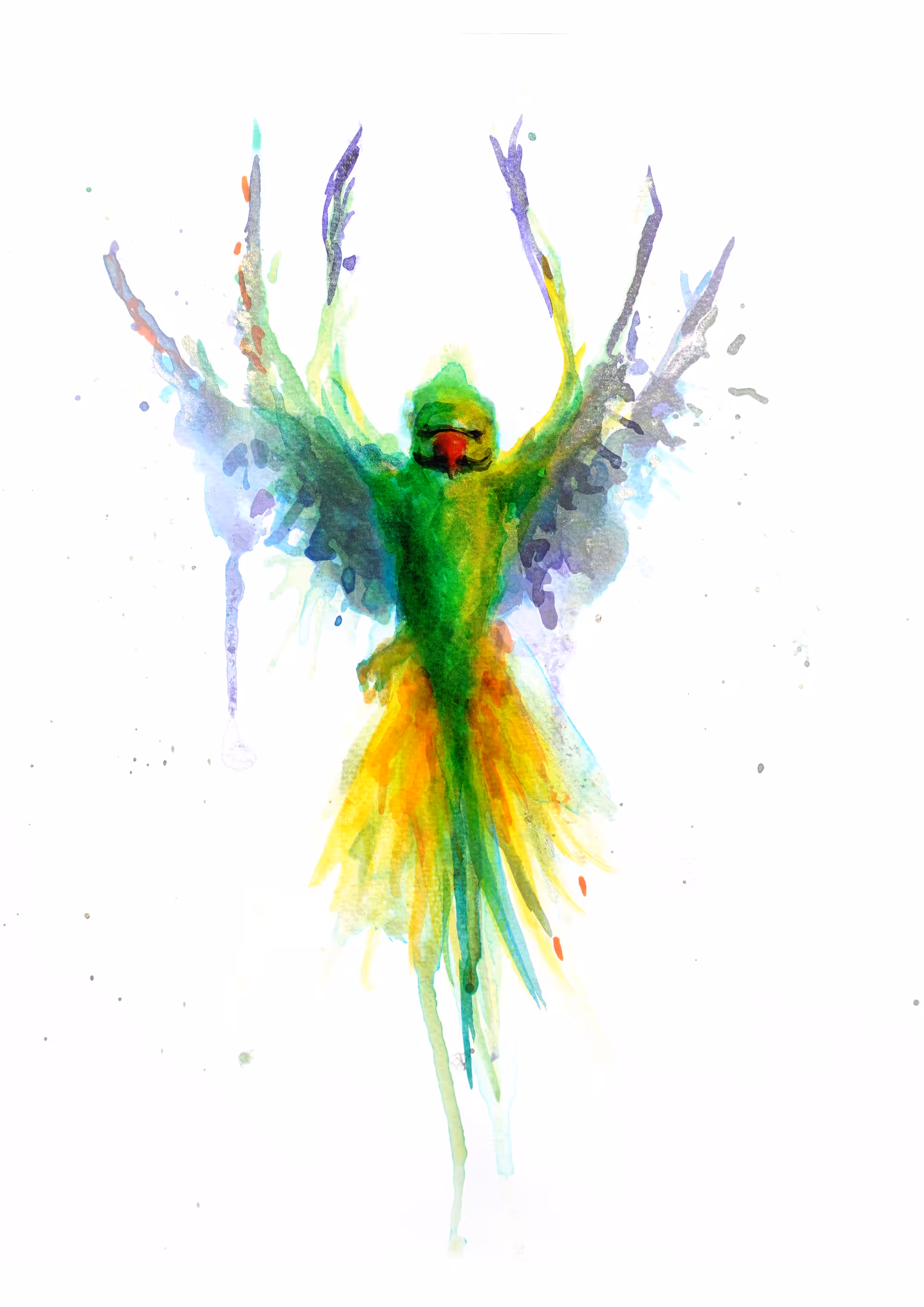 Parakeet Descending
