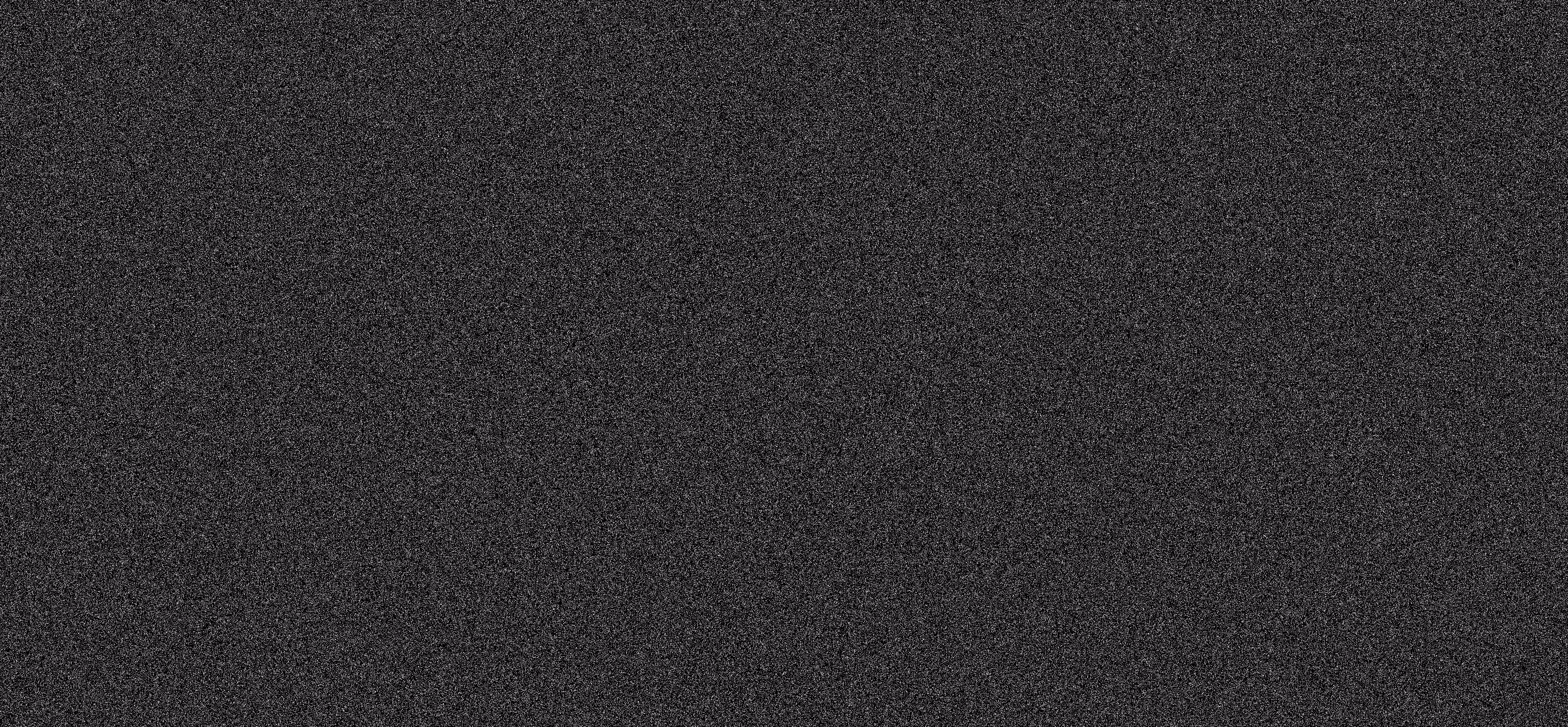WE ARE NOISE