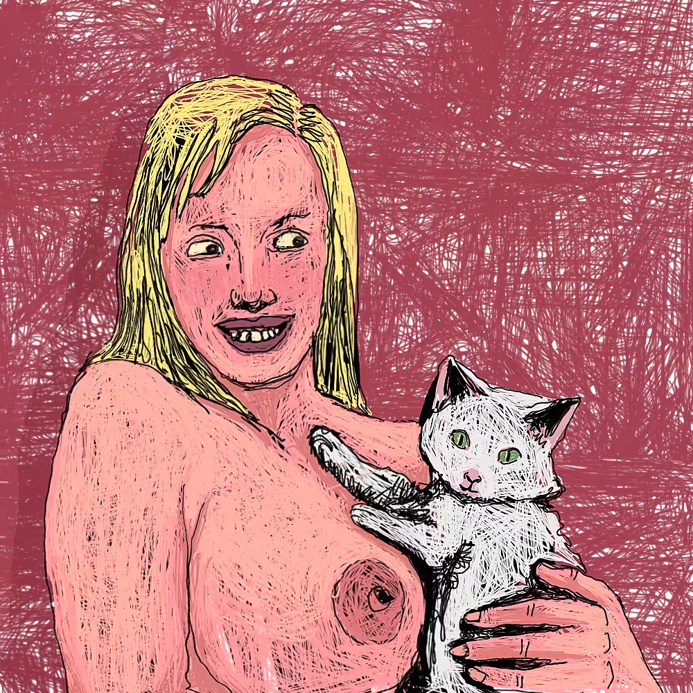 kitten