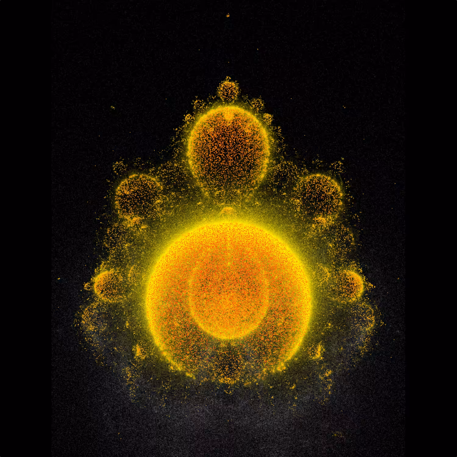The Pixel Buddhabrot #60