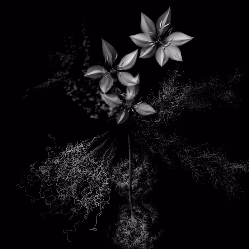 Botanical Ghosts #105