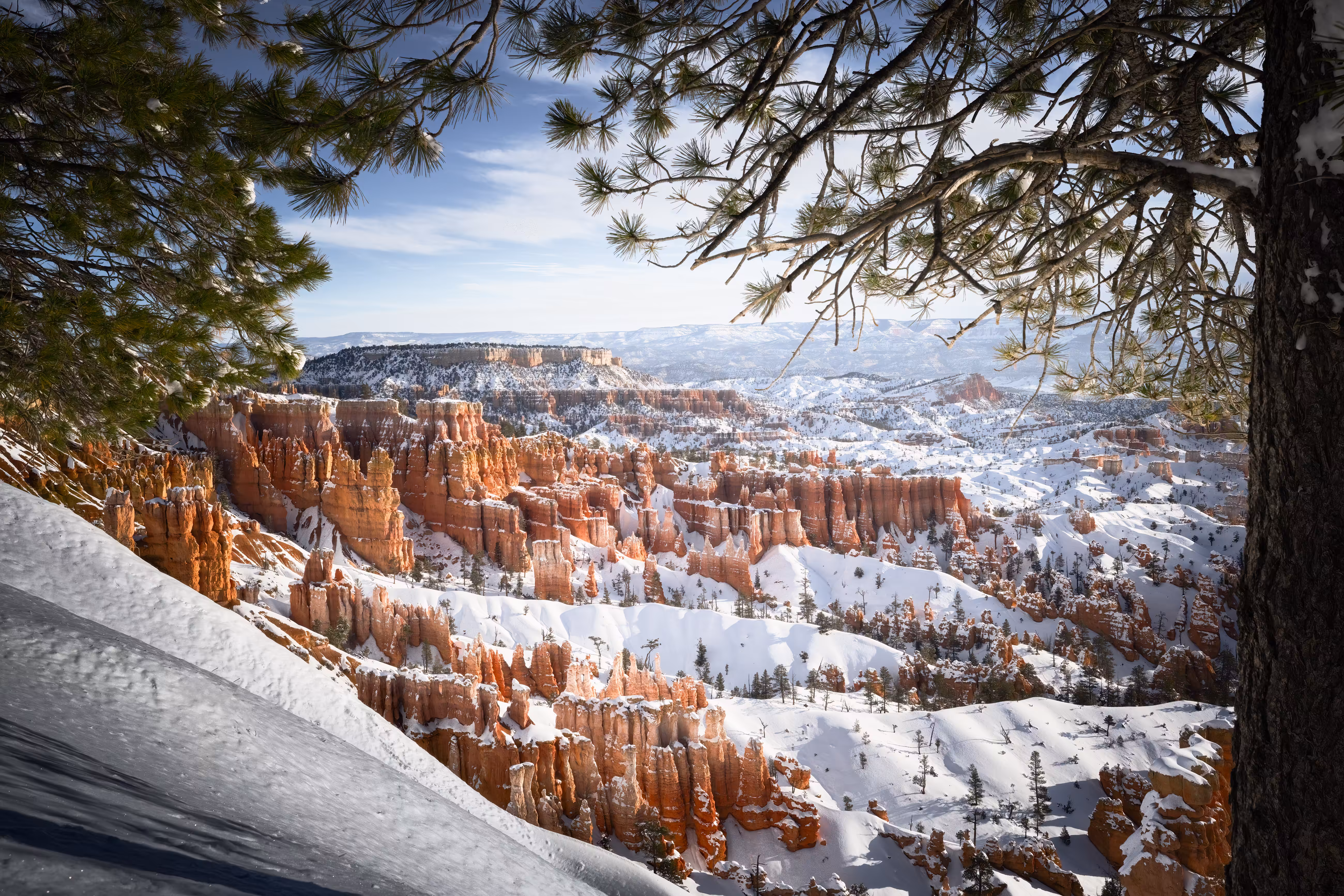 Rodeo posts: Canyon Lands