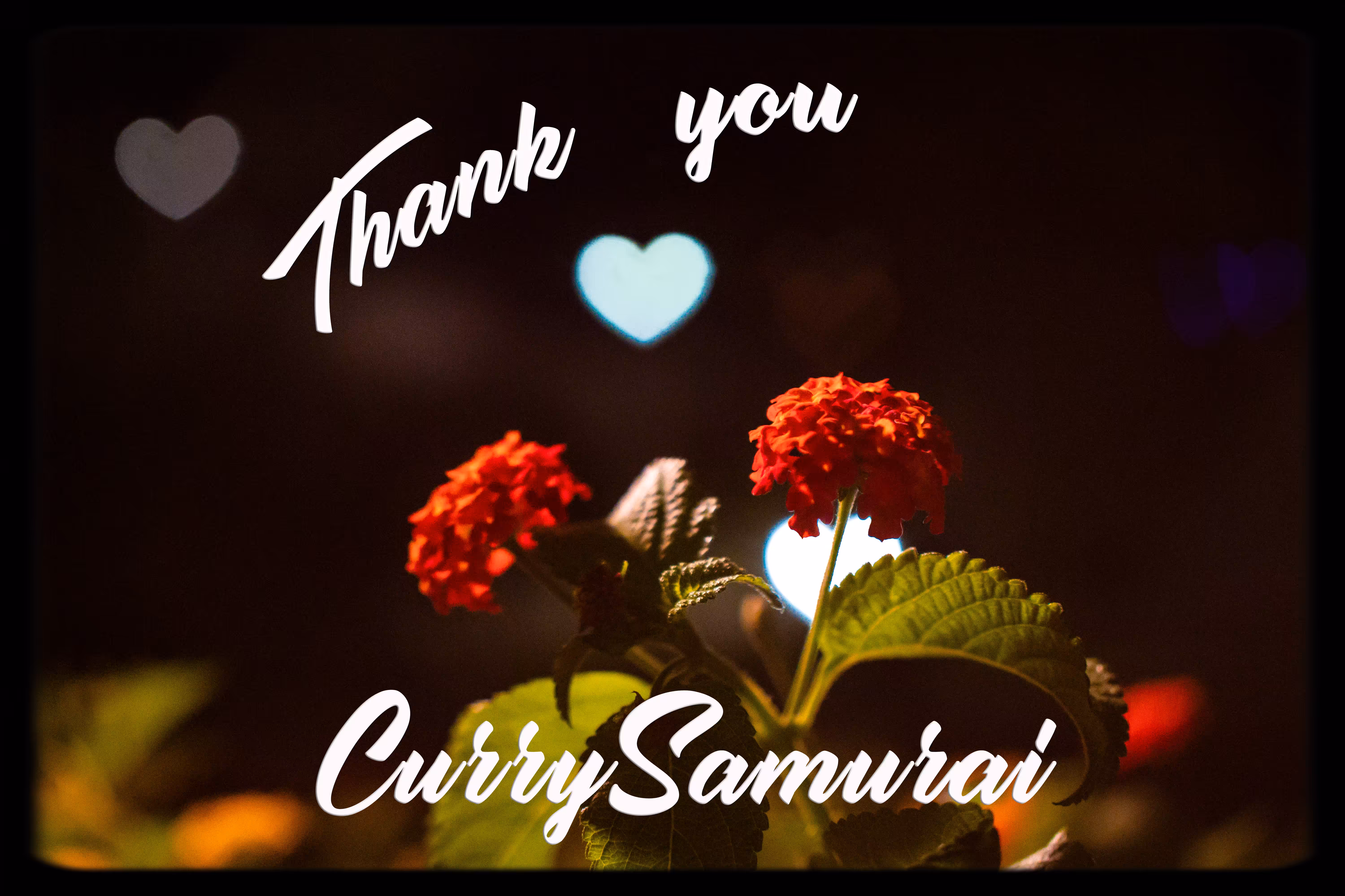 Thank You CurrySamurai 