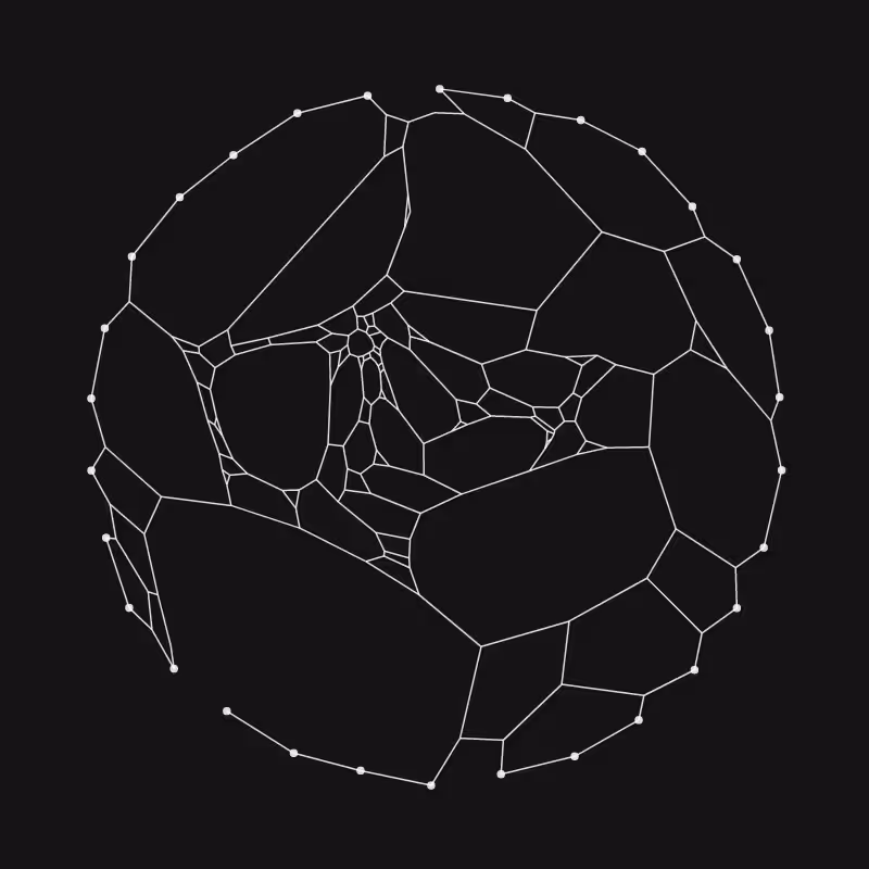 Elastic Web #18