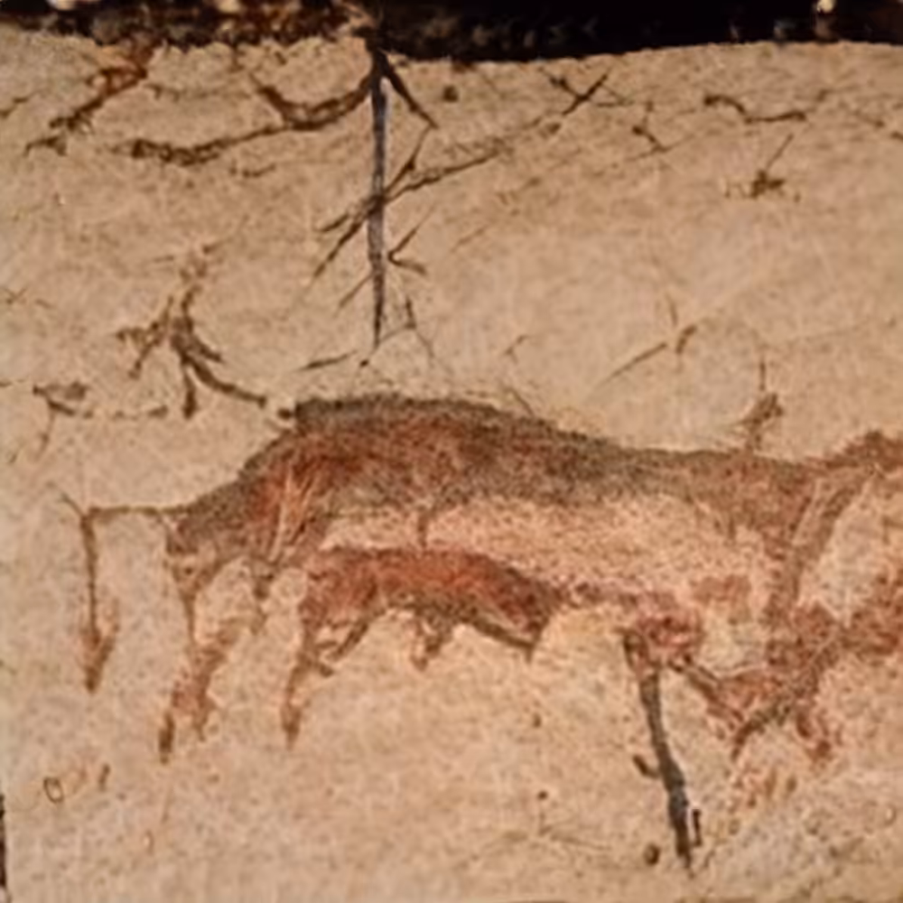 CAVE 023