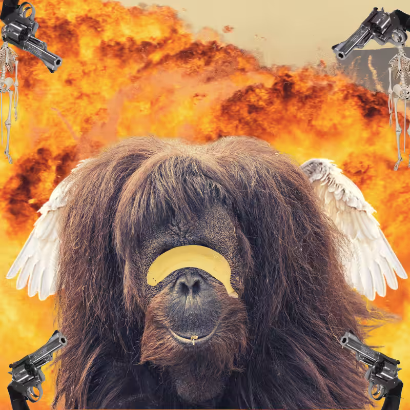 Blinded apes #32