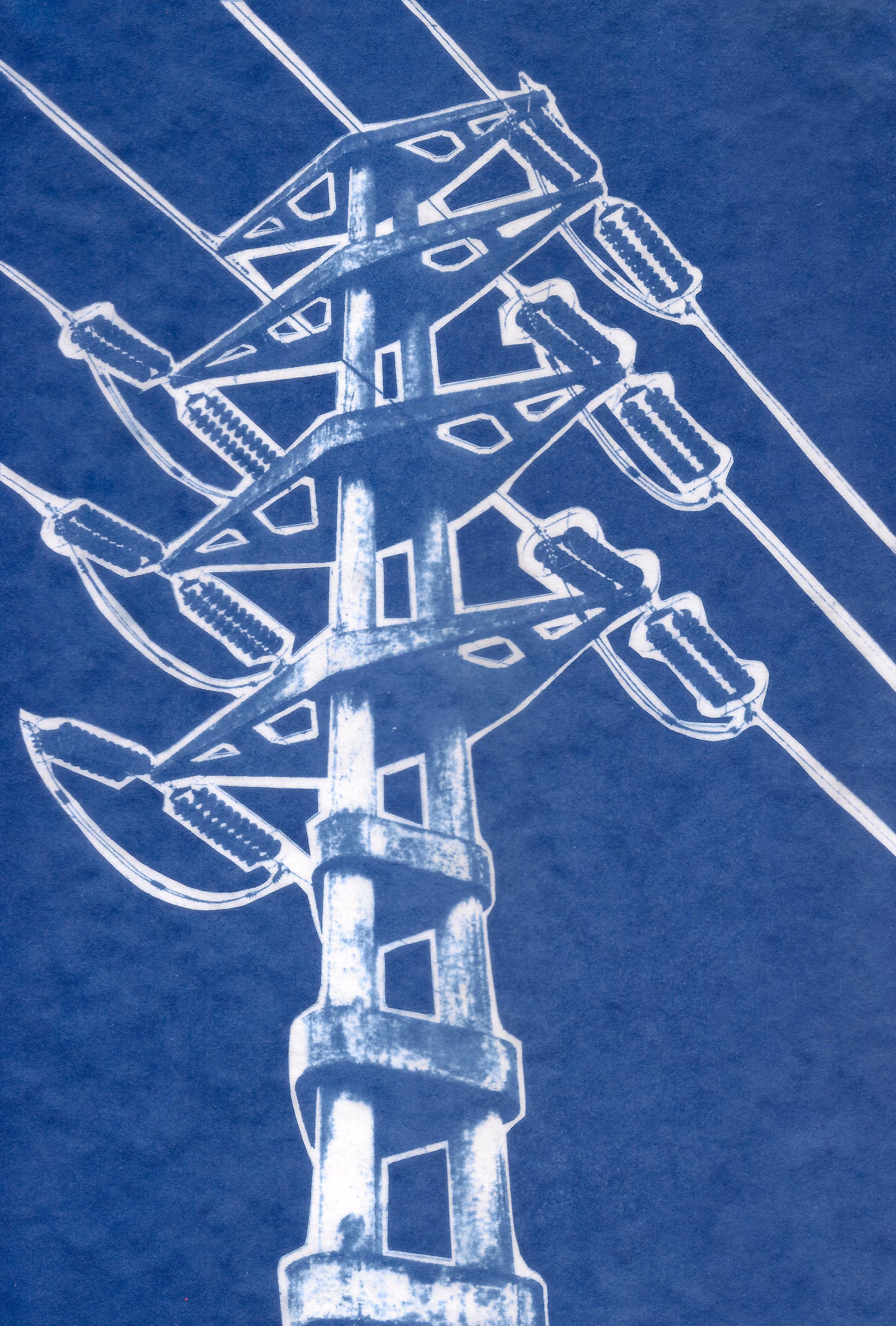 Cyanotype 001