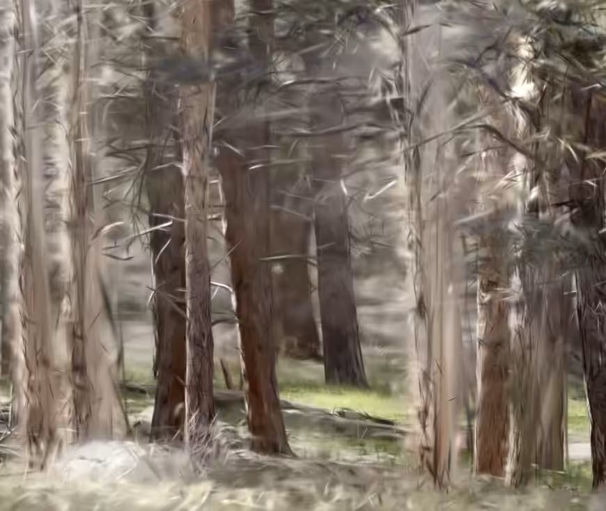 Natural Data 3