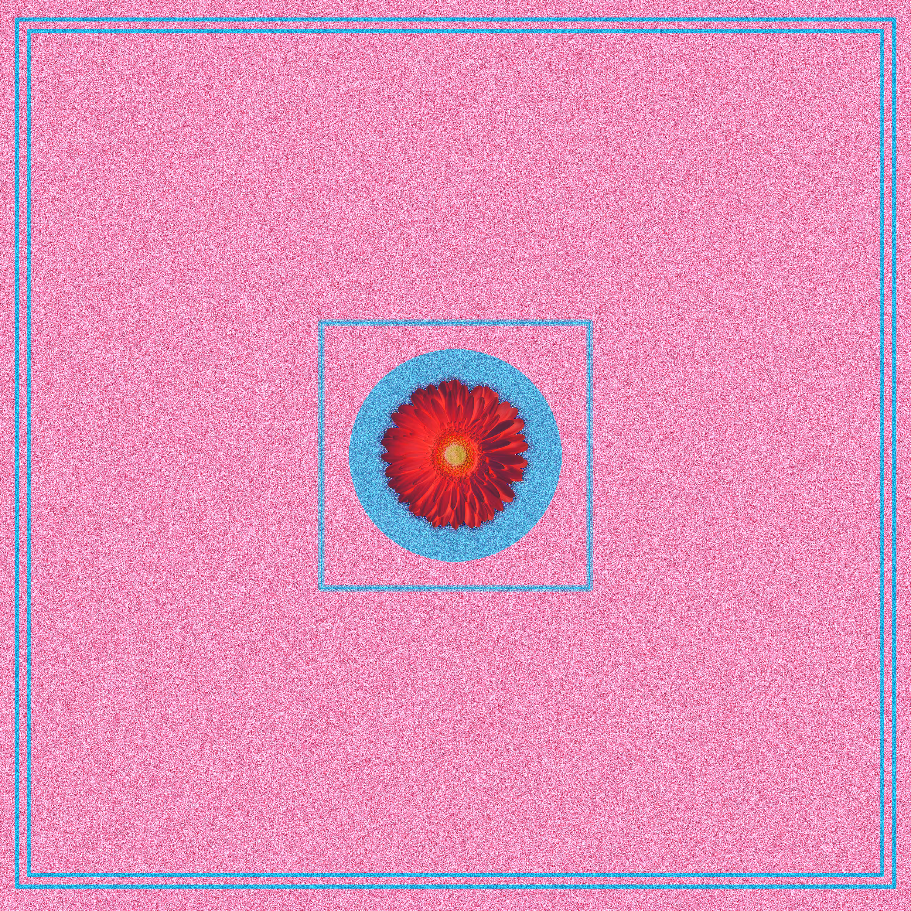Phloralpha
