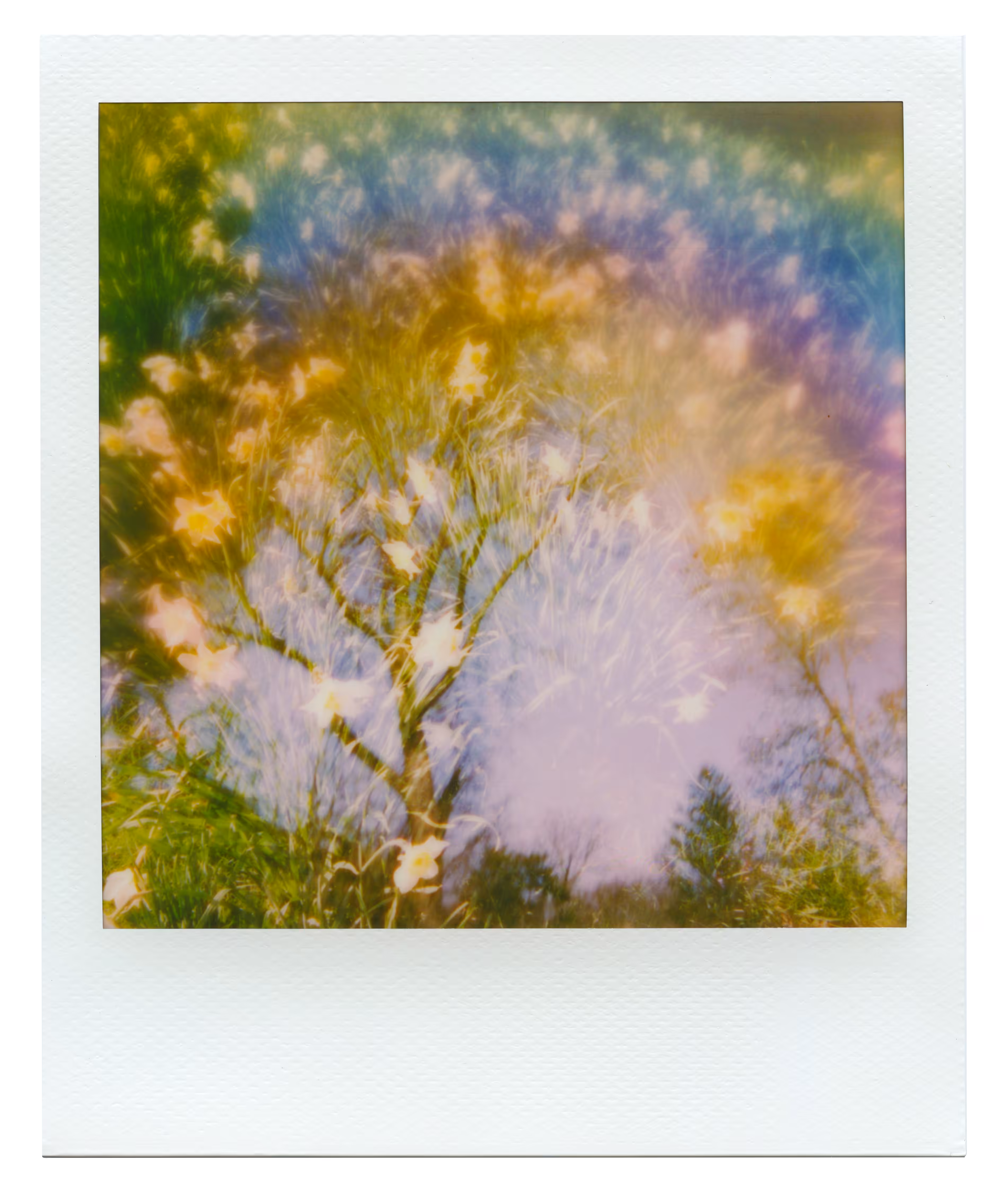 Manifestation