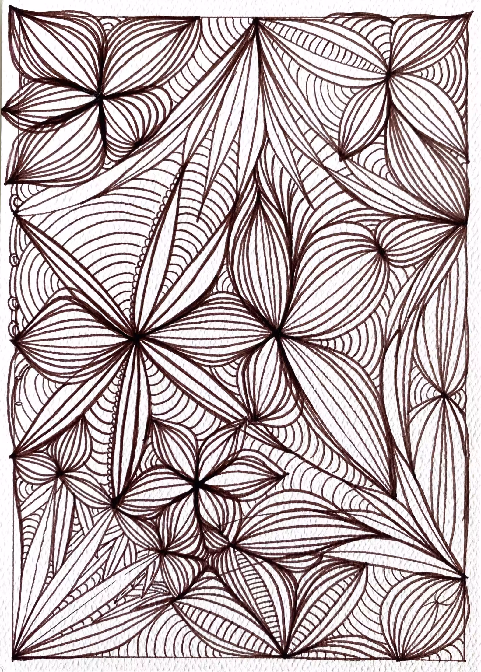 bloom