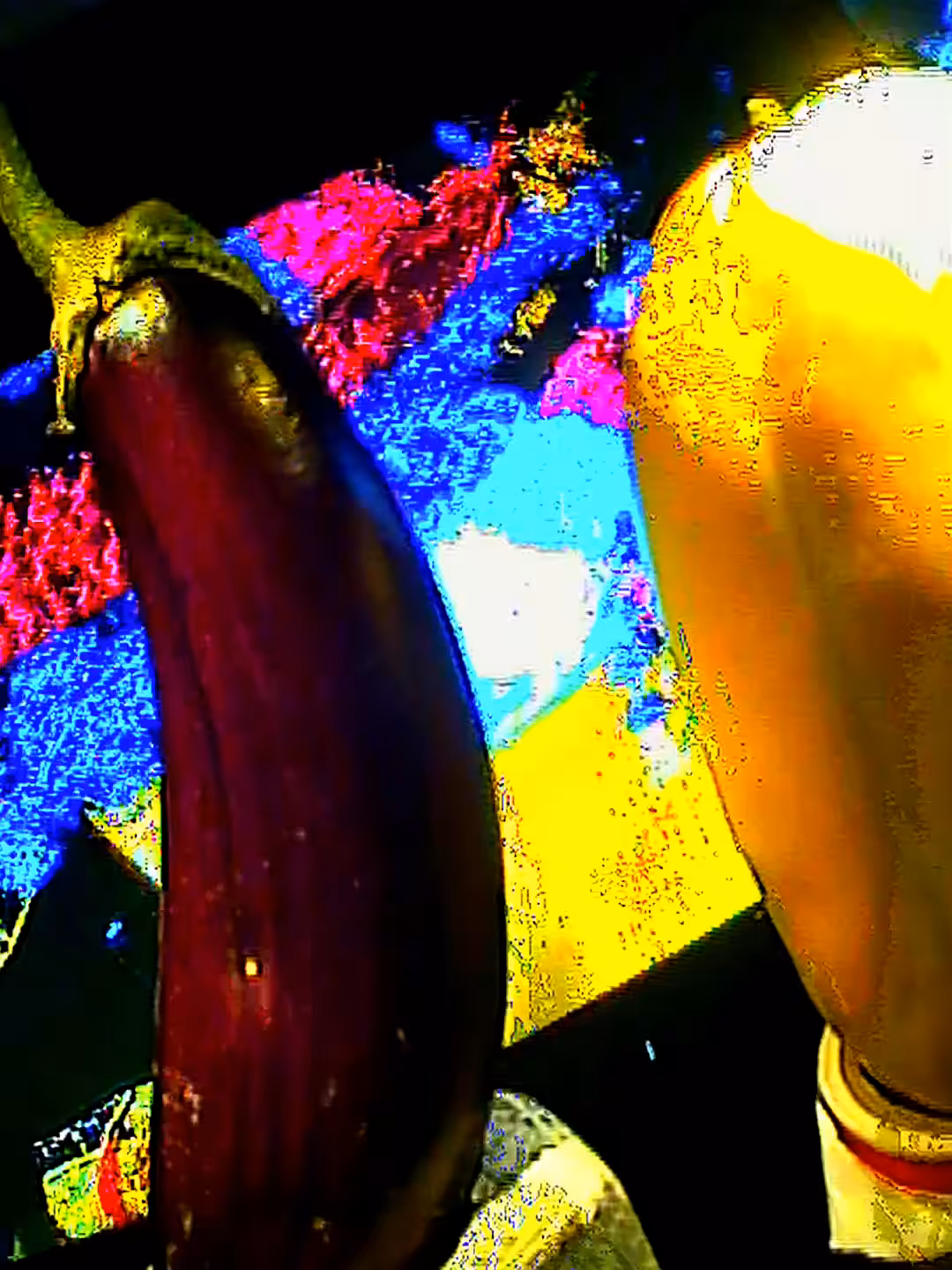 Aubergine and Chamoe
