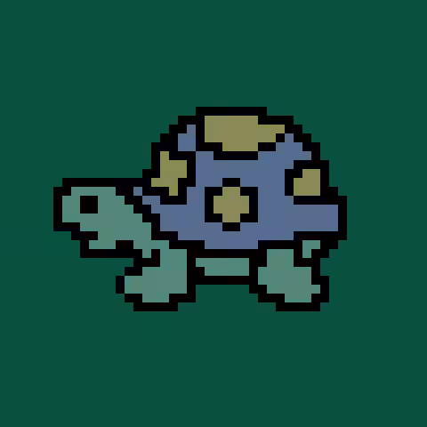 Turtle #8