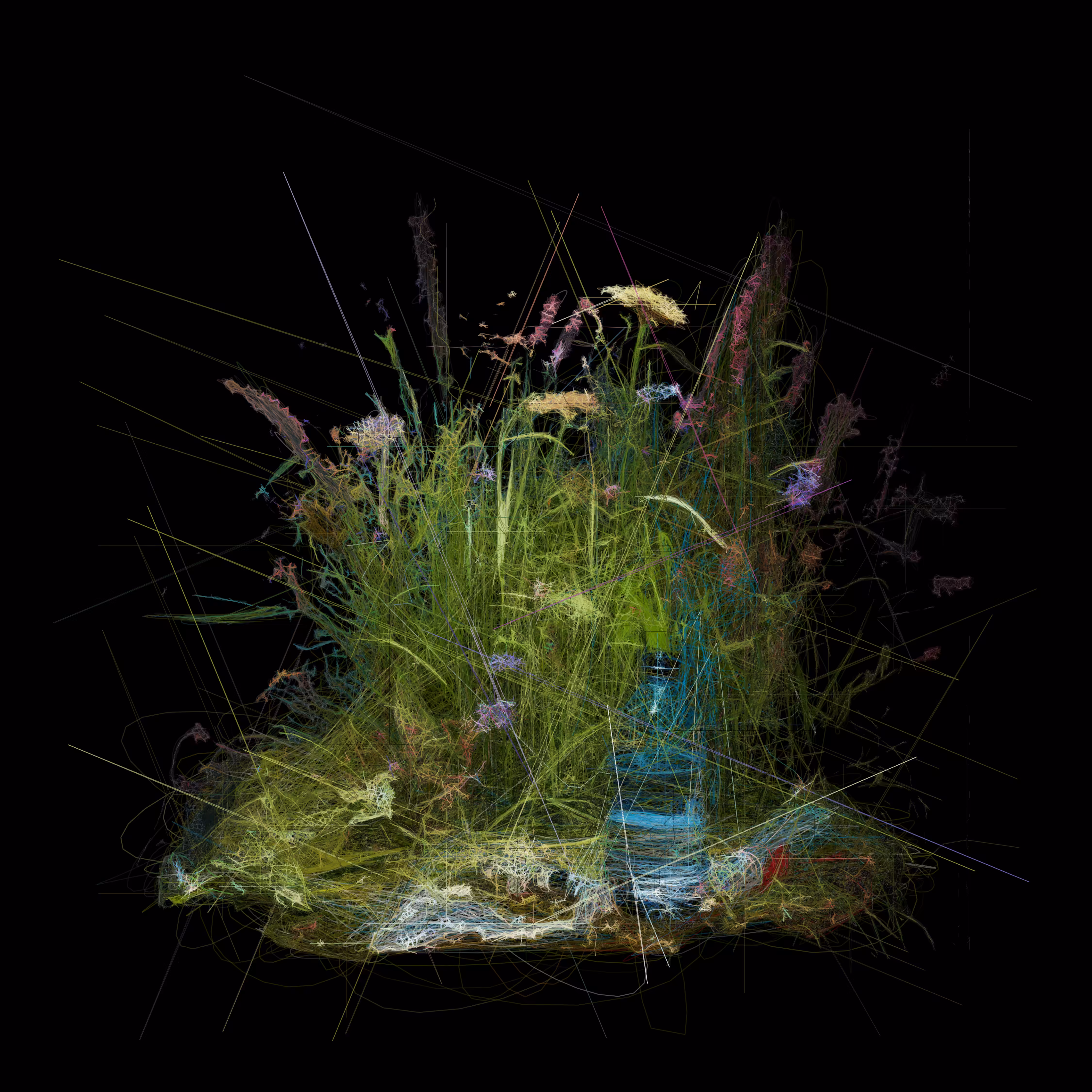 Little Patch of Grass with Plastic Bottle