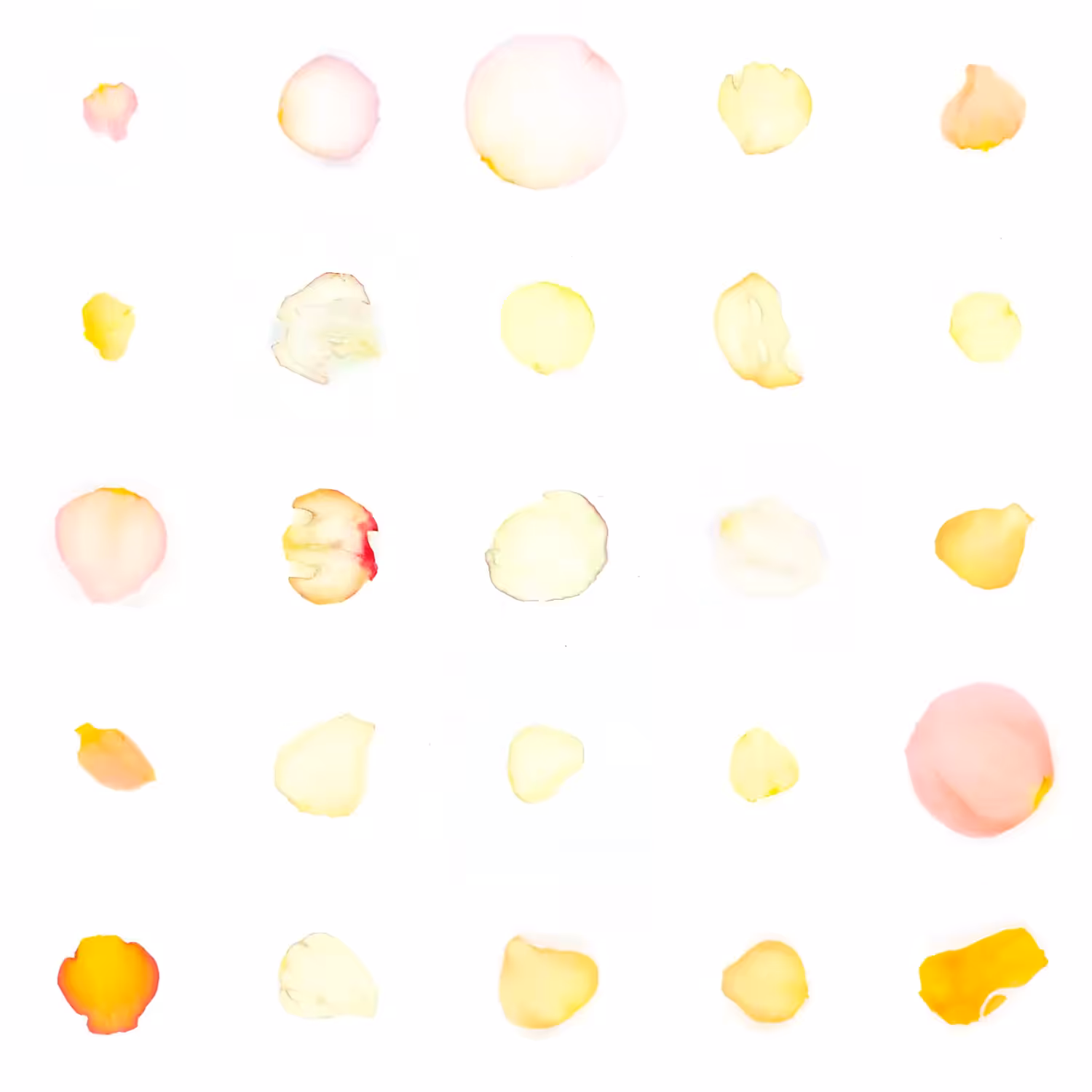 Infinite Petals 5x5#20397