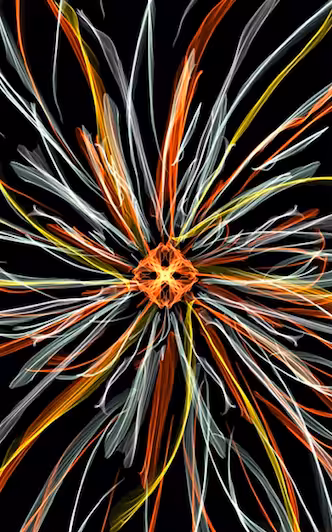 Luminozity 04