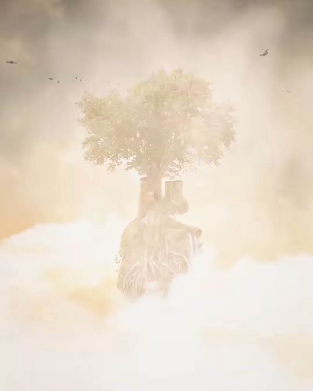 Heart of the Afflicted