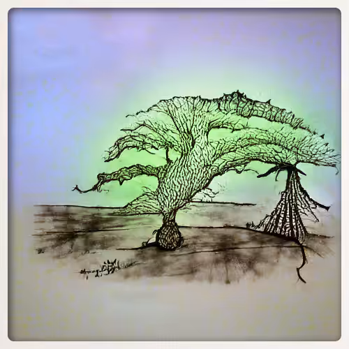 I Have Not Seen My Favorite Tree In Years