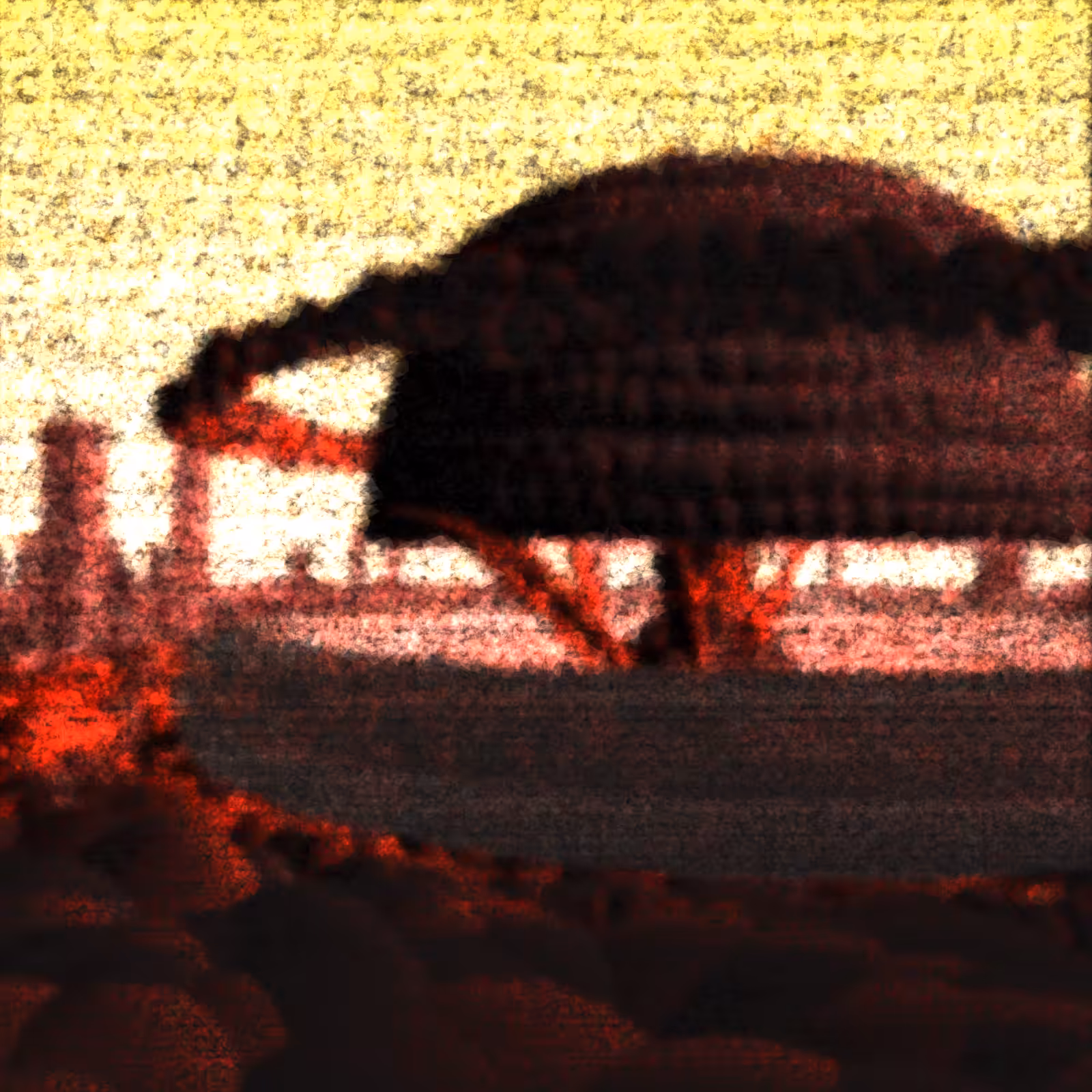 Last Transmission #18
