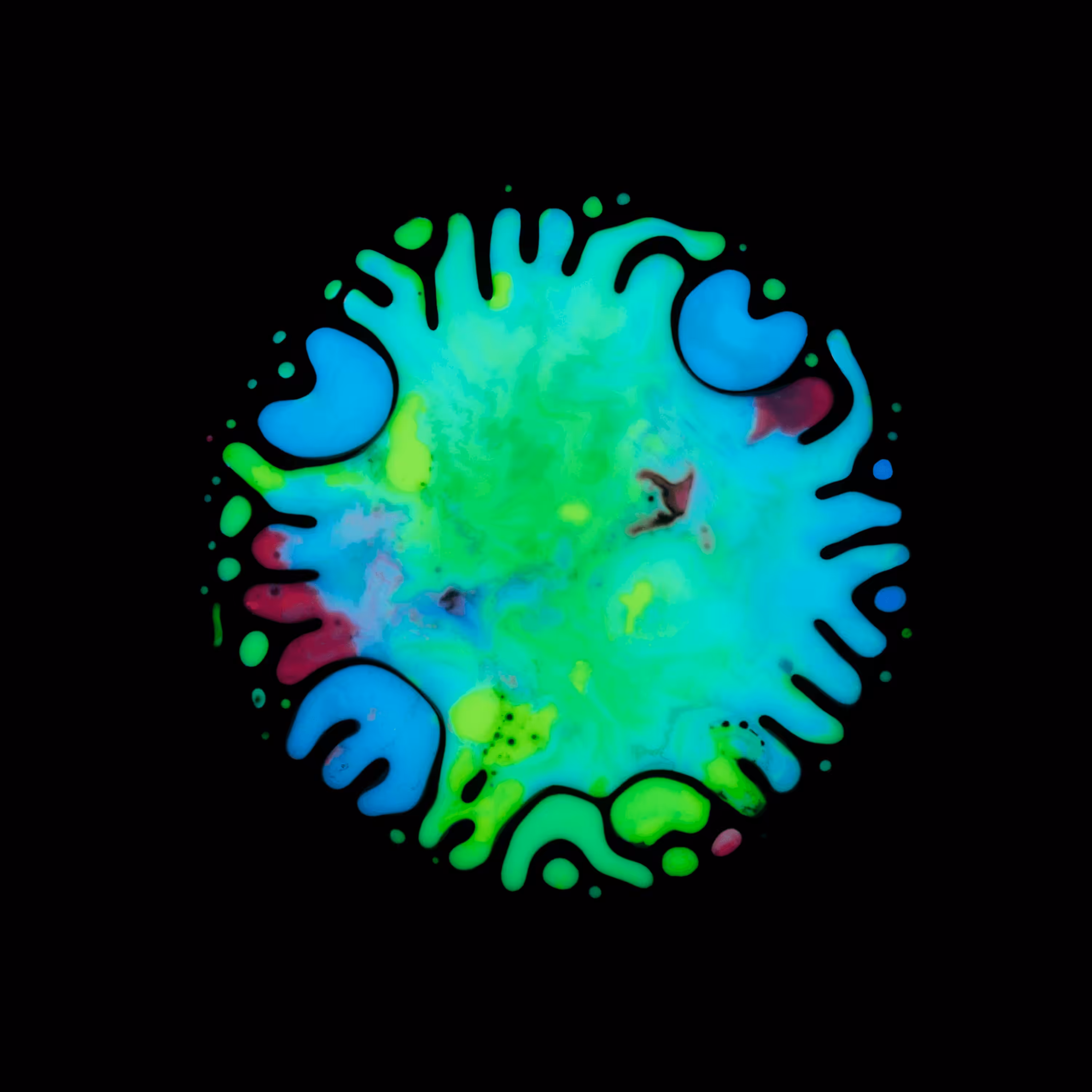 Haematopoiesis #55