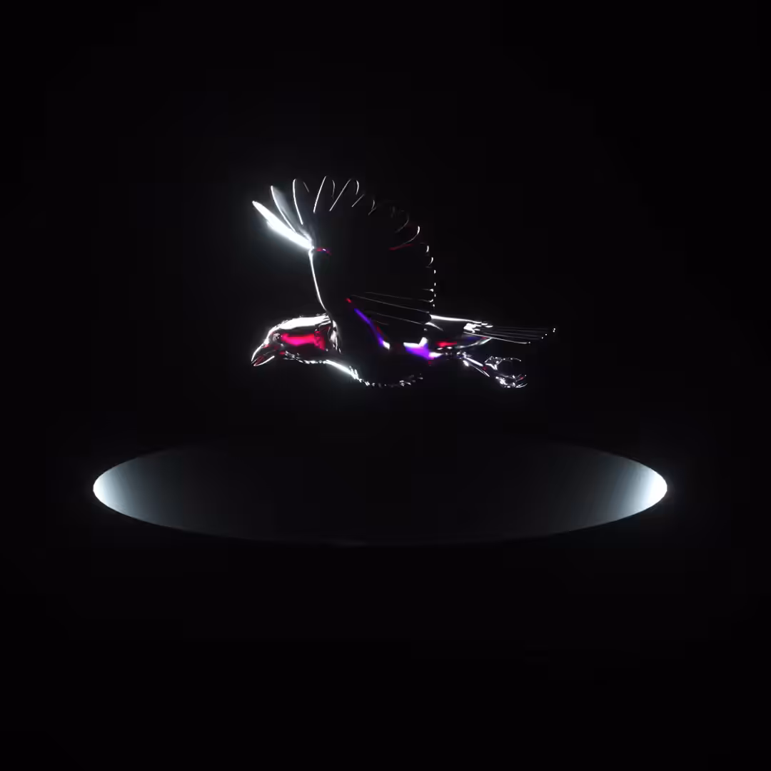 Silver Raven