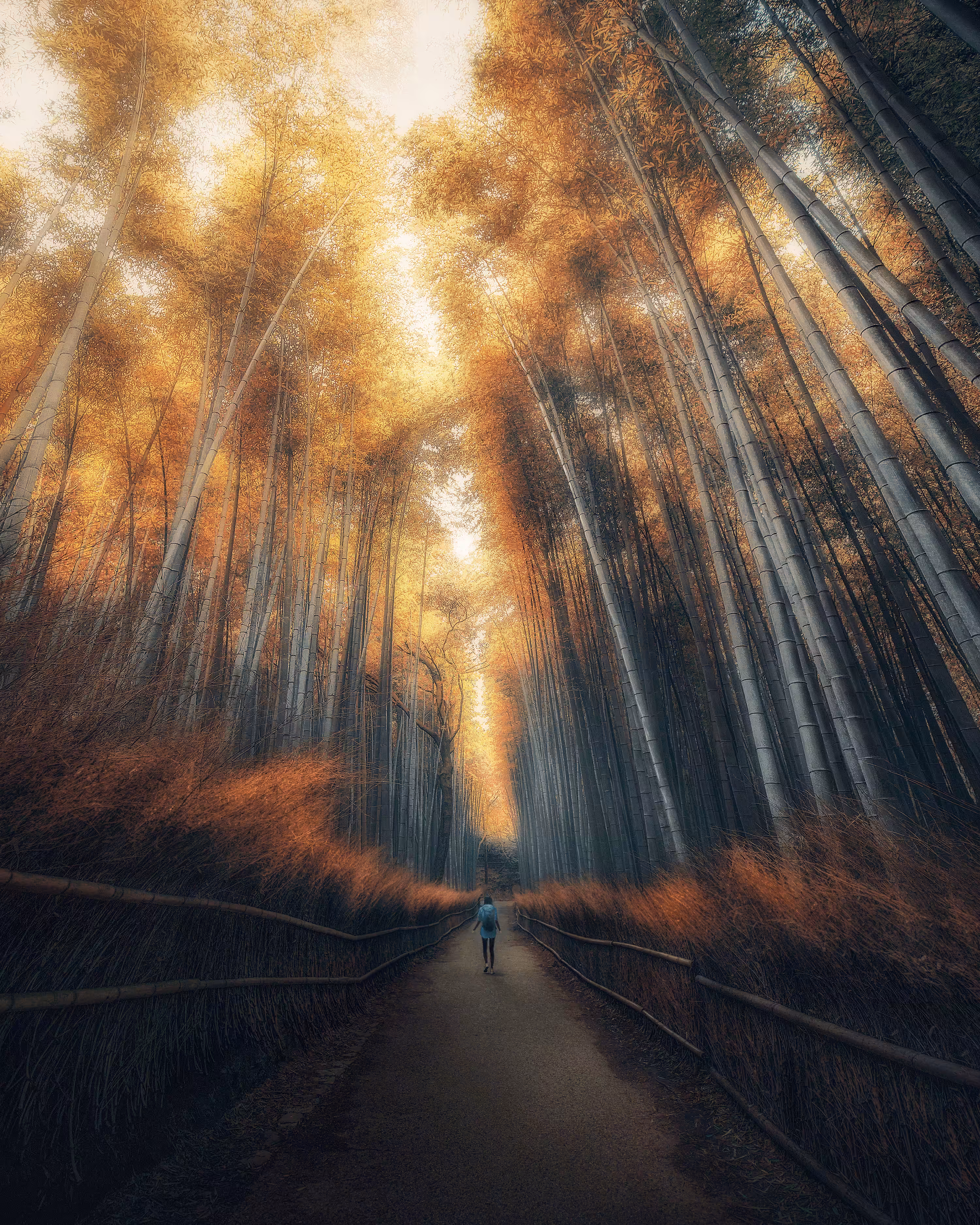 #4 Arashiyama Autumn