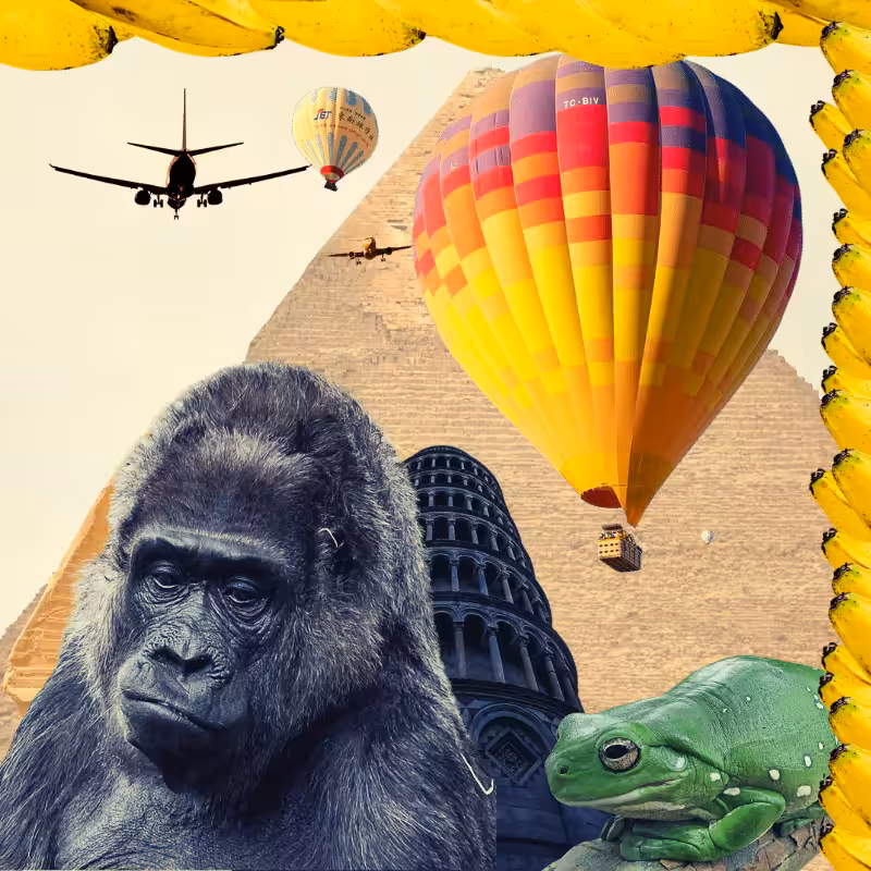 Banana & Pepe on mysterious trips #26