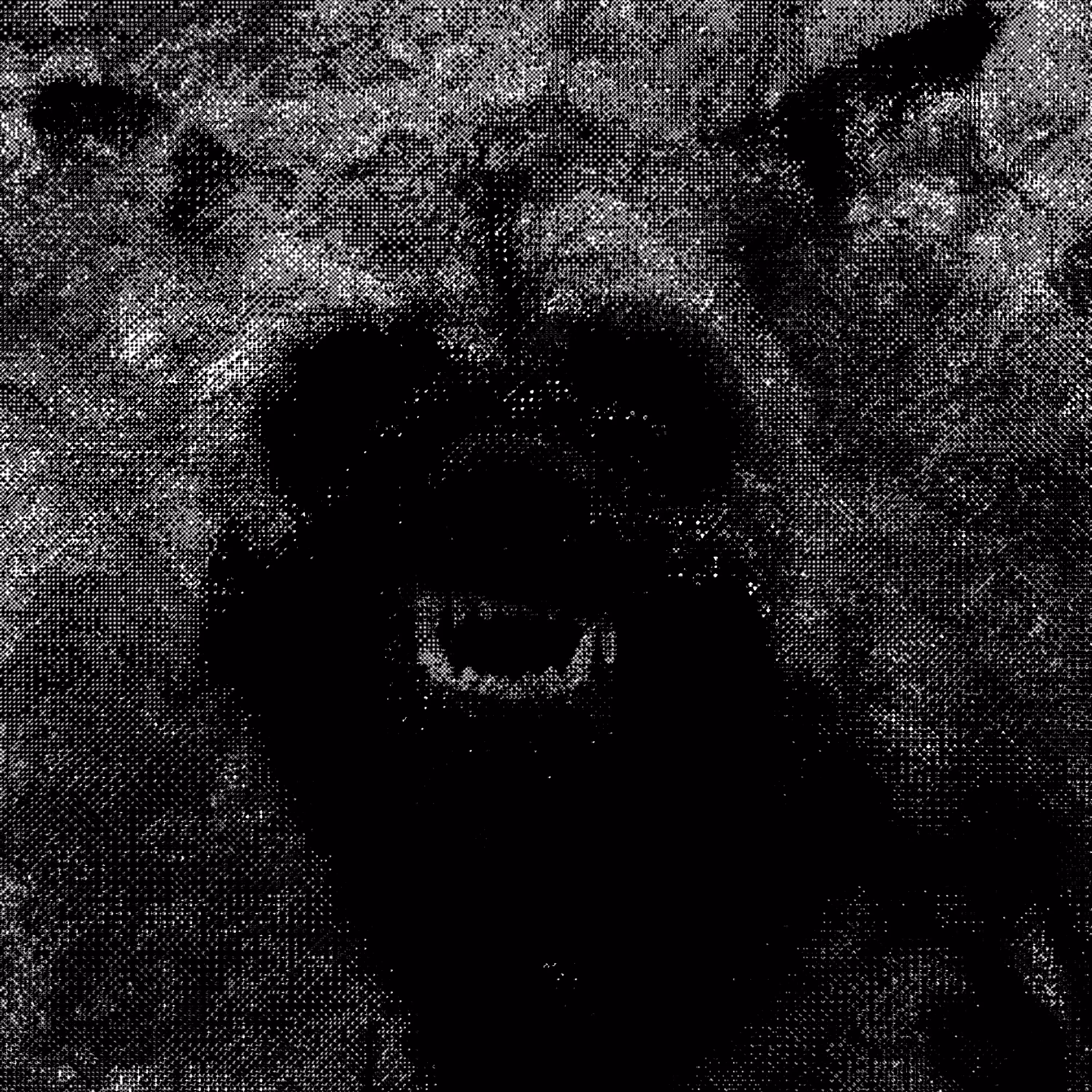 Barking For The Gate Of Tartaros.