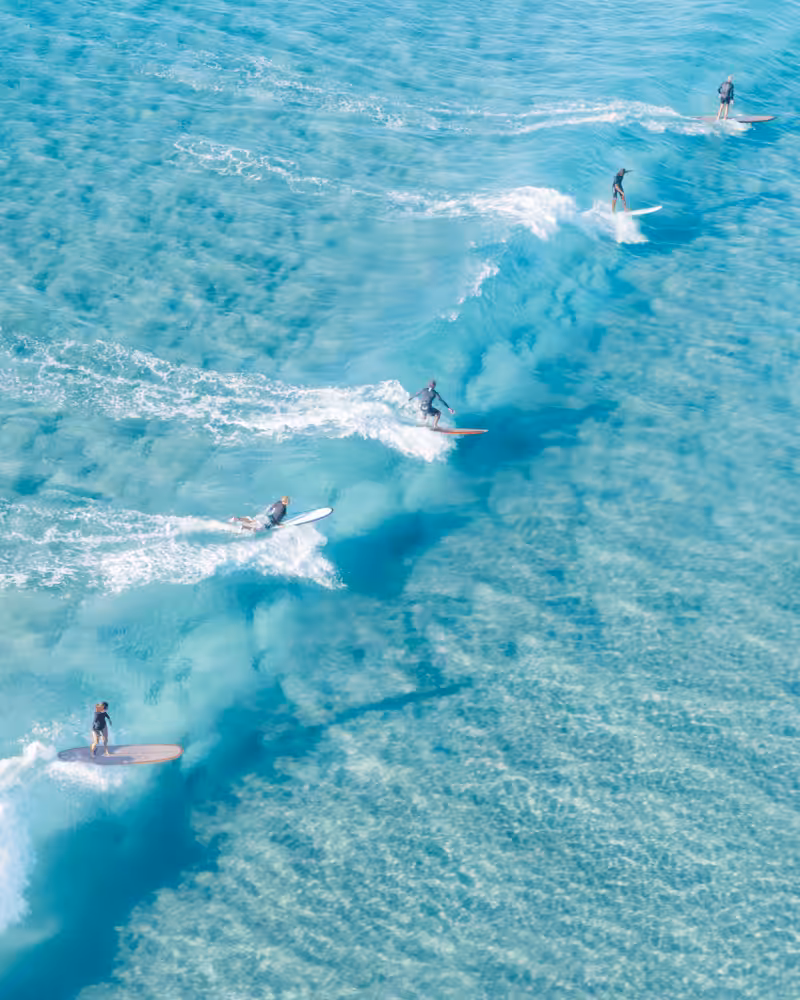 Party Wave