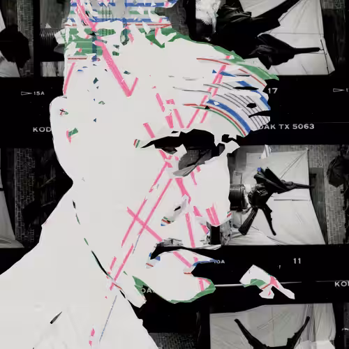 THE GENERATIVE PORTRAIT COLLECTION OF ROBERT MALLARY: Generative Portrait of Robert Mallary #260